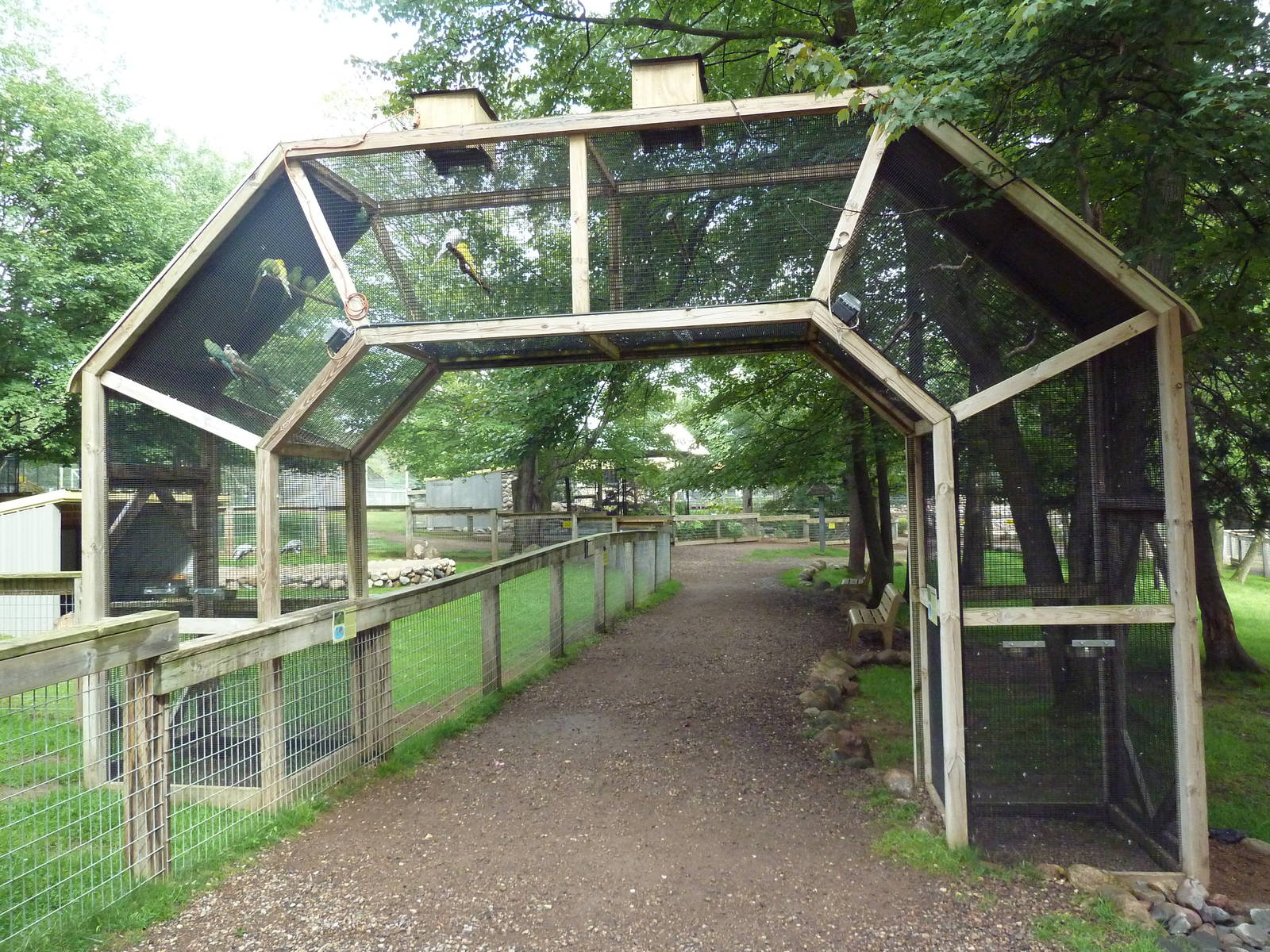Ring-Necked Parakeet Exhibit