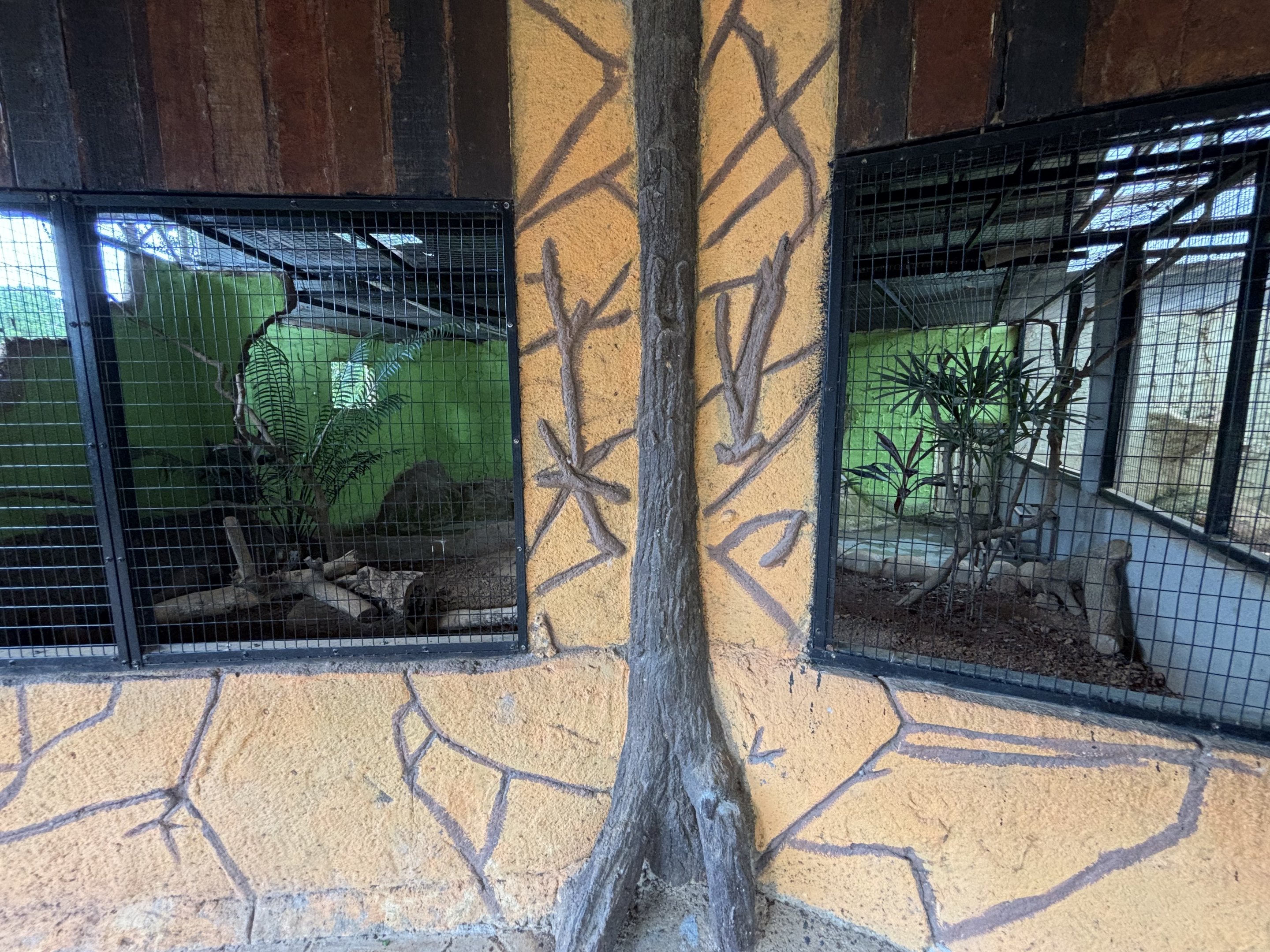 Ring-necked Pheasant Exhibit