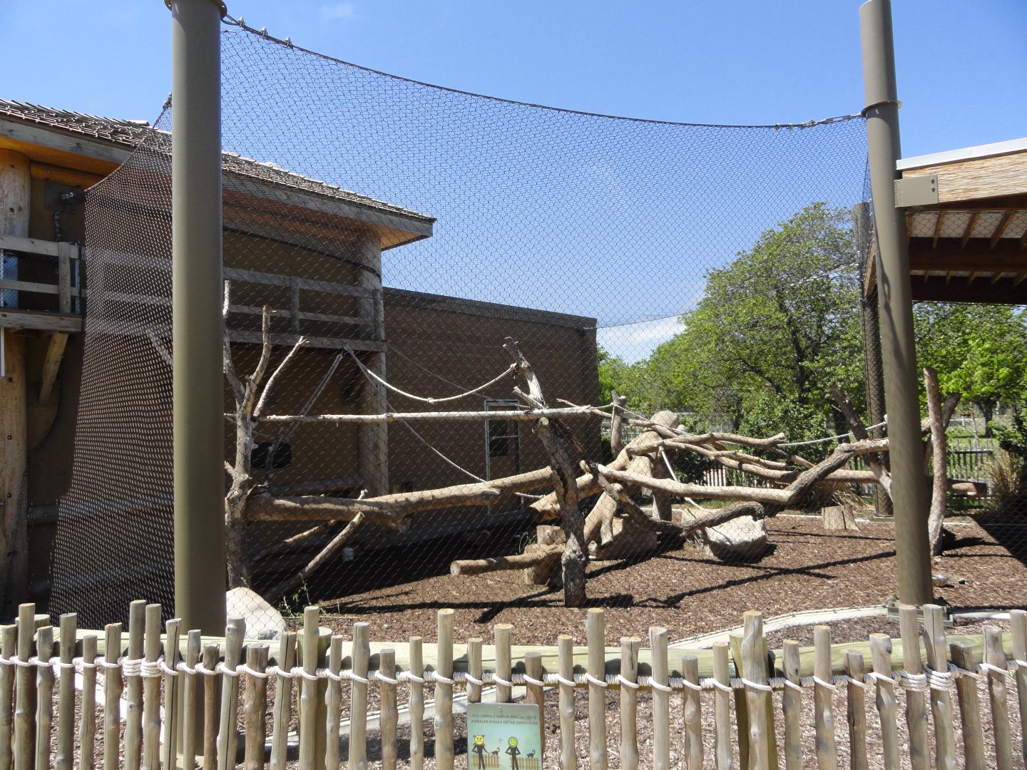 Ring Tail Lemur, Black & White Ruffed Lemur Exhibit