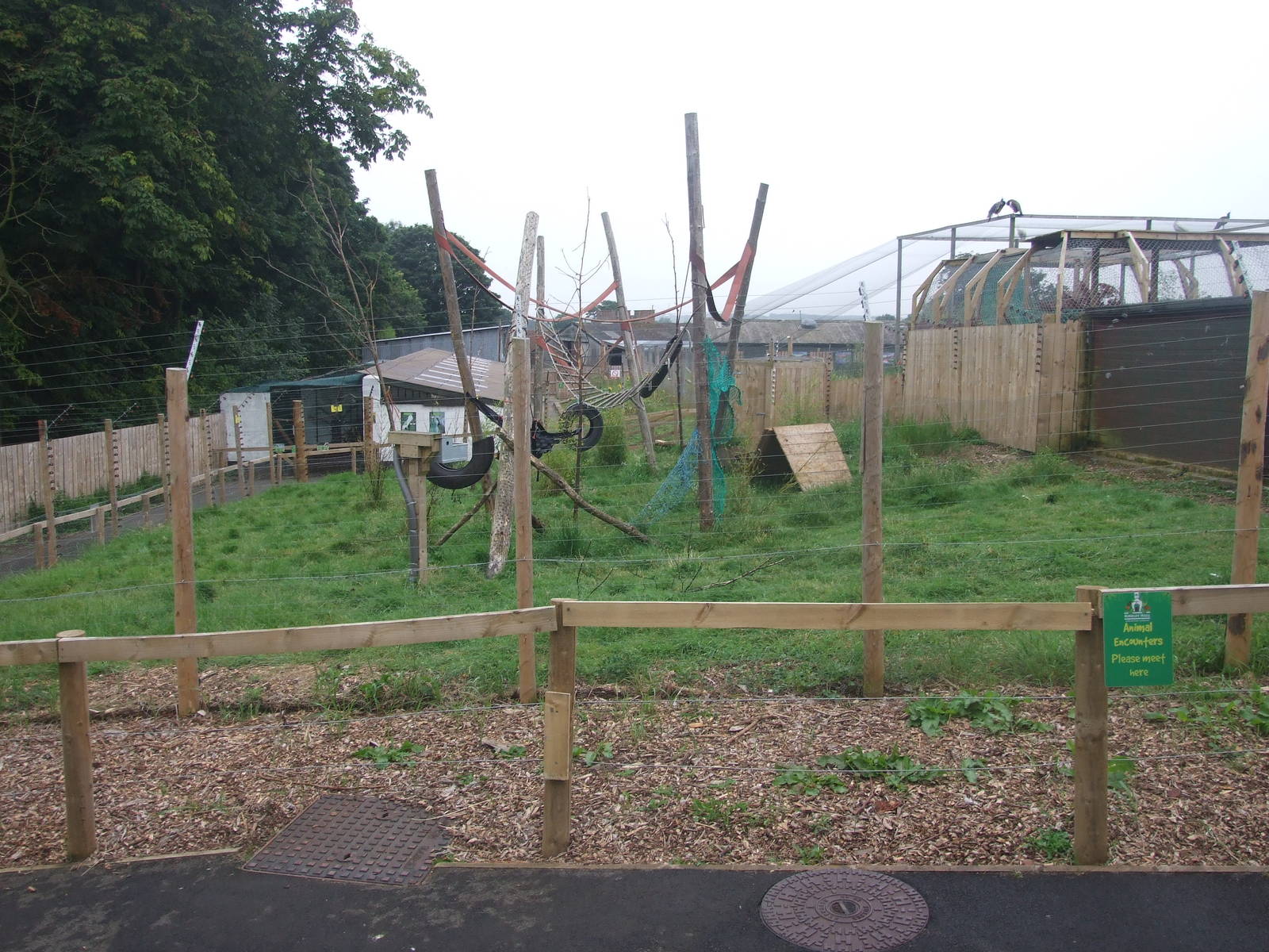 Ring Tail Lemur Enclosure
