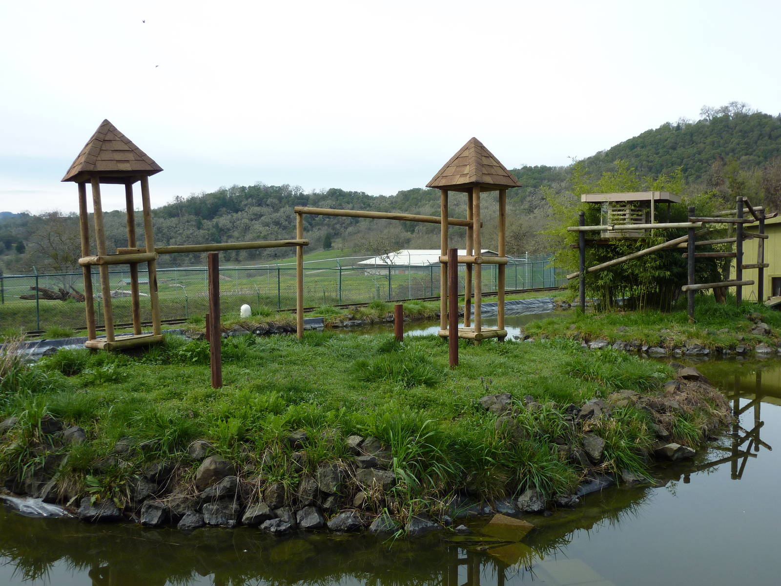 Ring-Tail/Red Ruffed Lemur Exhibit