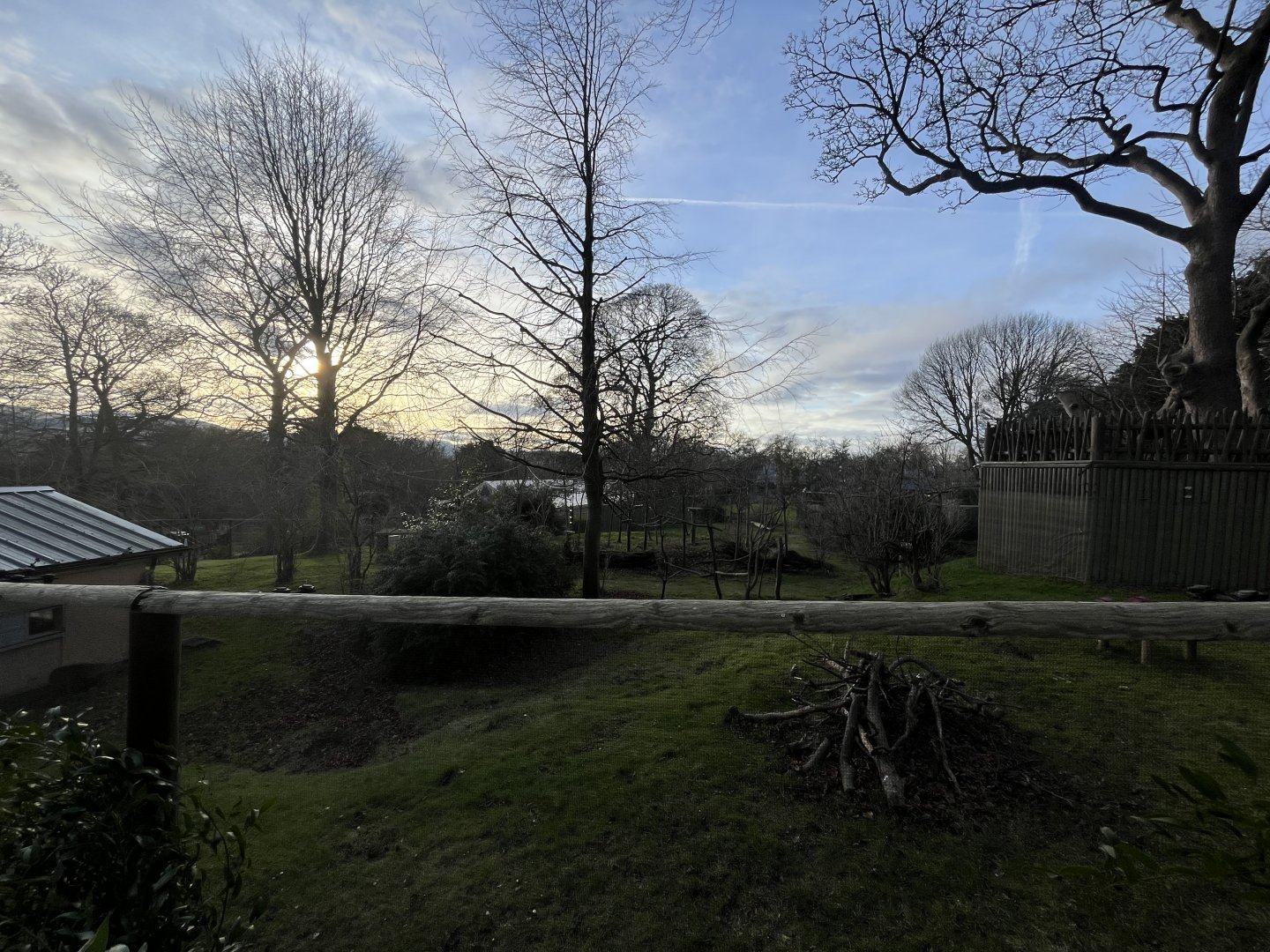 Ring-tailed and red-bellied lemur enclosure 0.5 version 27.12.24