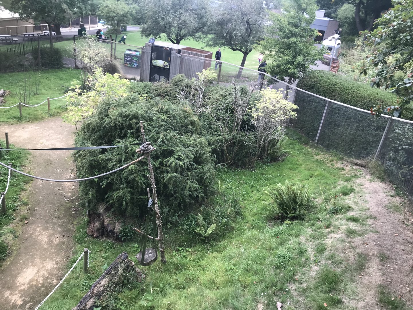 Ring tailed and red bellied lemur enclosure (2)