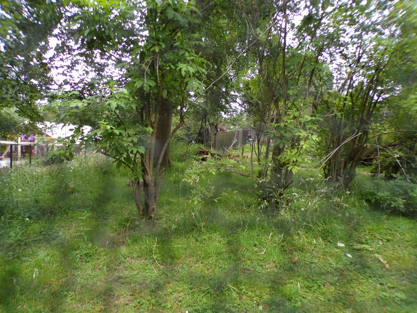 Ring-tailed and Red-bellied lemur enclosure in the evening 22.7.23