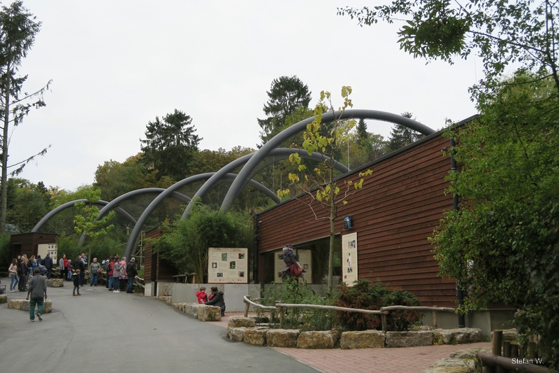 Ring-tailed and Red Ruffed Lemur Enclosure (new 2021)