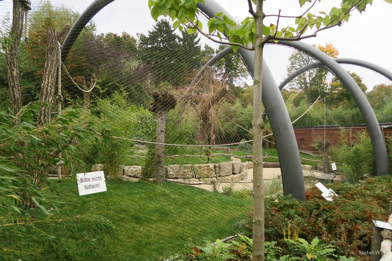 Ring-tailed and Red Ruffed Lemur Enclosure (new 2021)