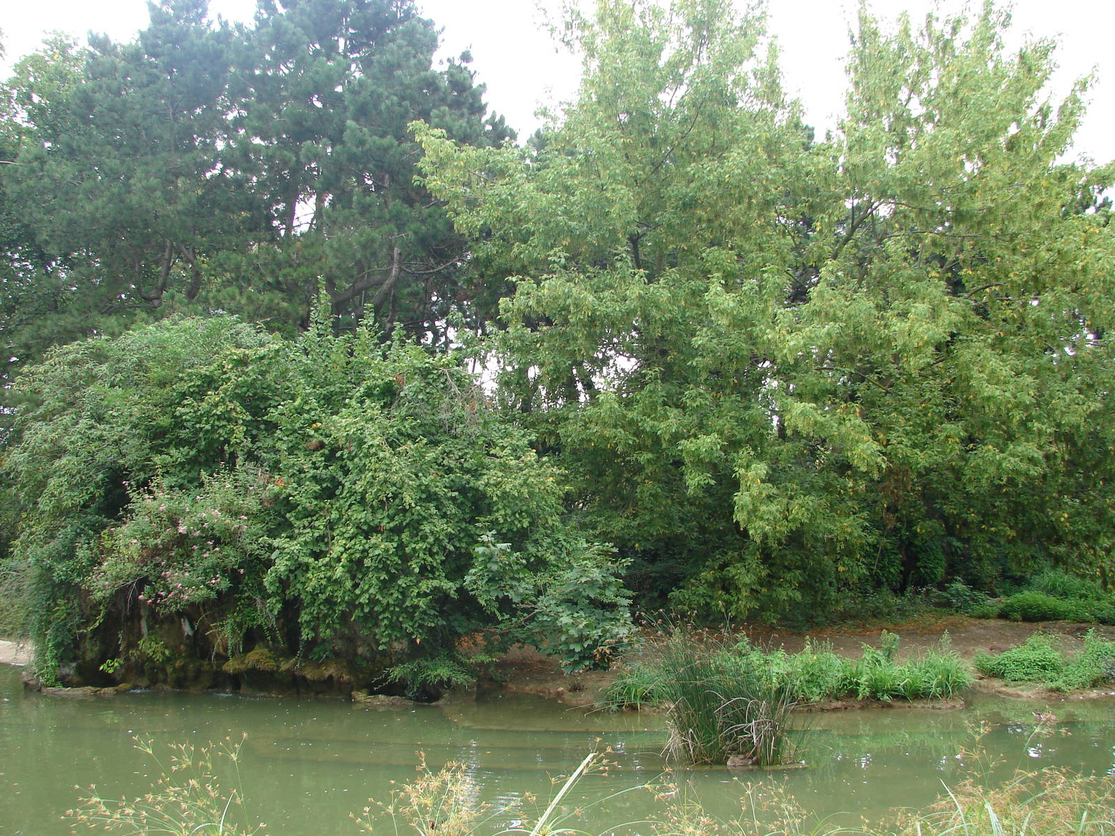 Ring-tailed and ruffed lemur (red and black and white) exhibit