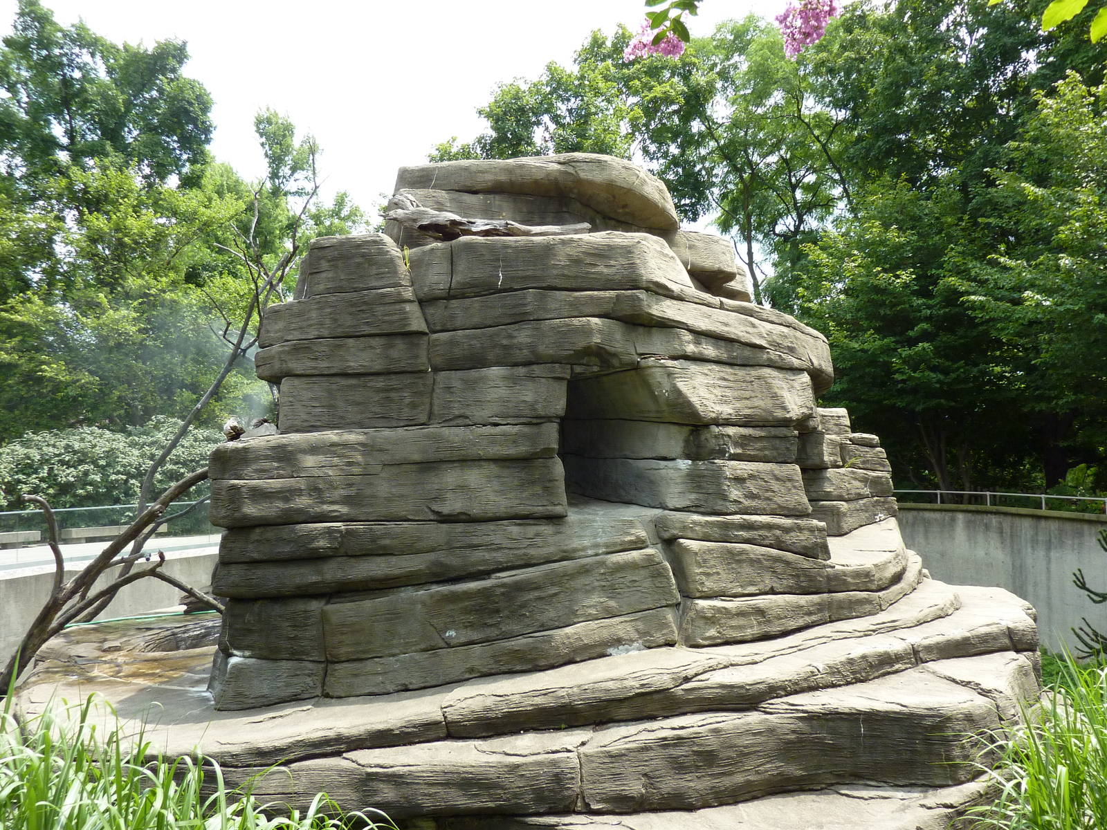 Ring-Tailed/Black/Black-and-White Ruffed Lemur Rock