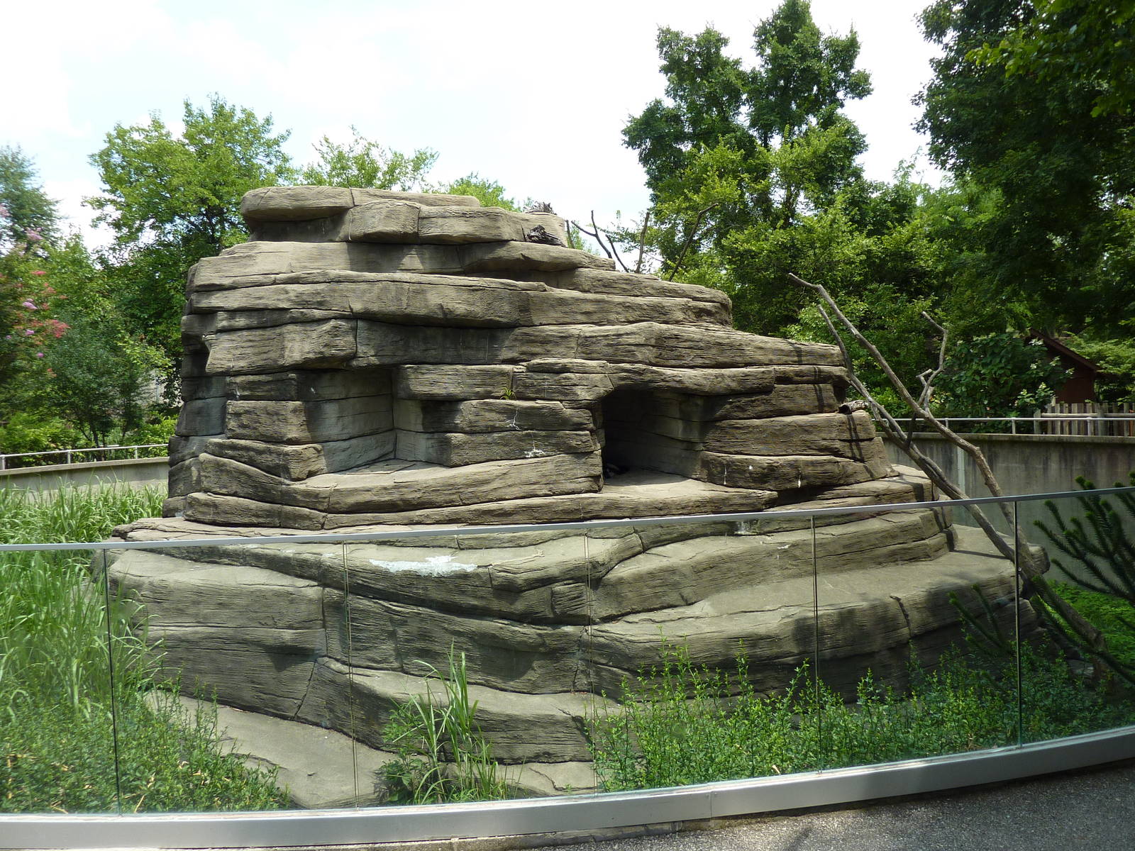 Ring-Tailed/Black/Black-and-White Ruffed Lemur Rock