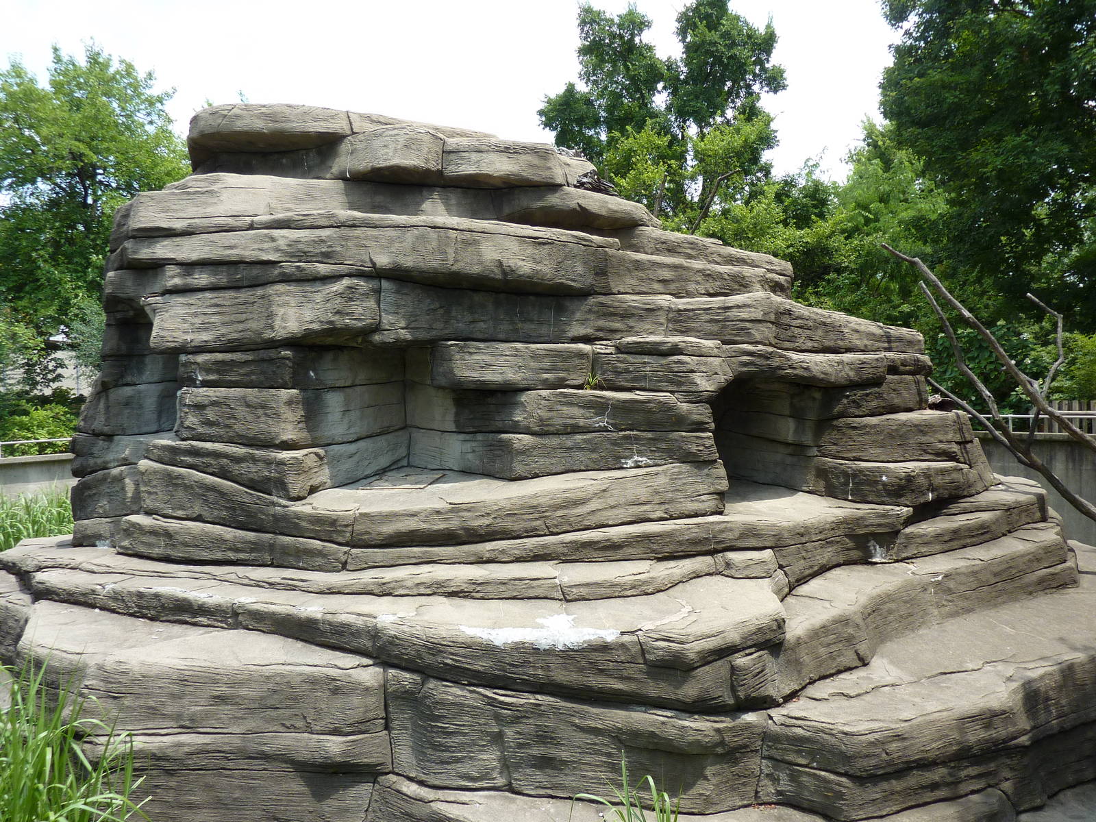 Ring-Tailed/Black/Black-and-White Ruffed Lemur Rock