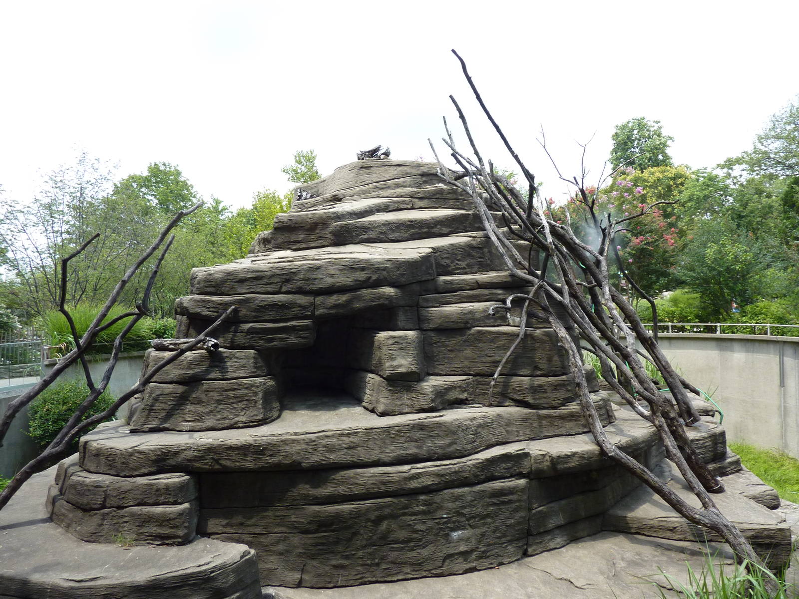 Ring-Tailed/Black/Black-and-White Ruffed Lemur Rock