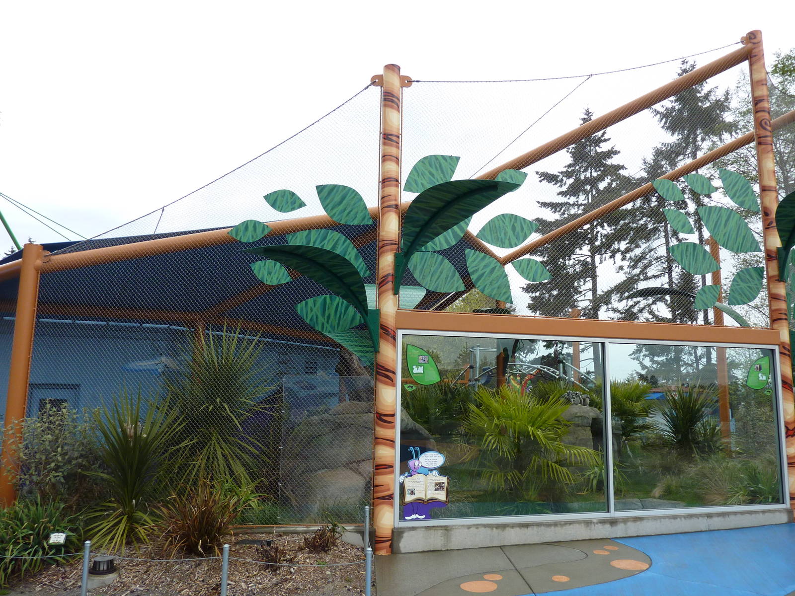 Ring-Tailed/Black Lemur Exhibit