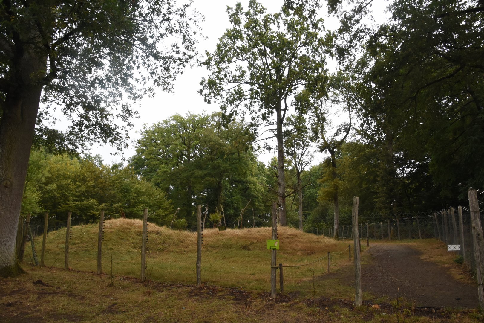 Ring-tailed & Brown Lemur walkthrough