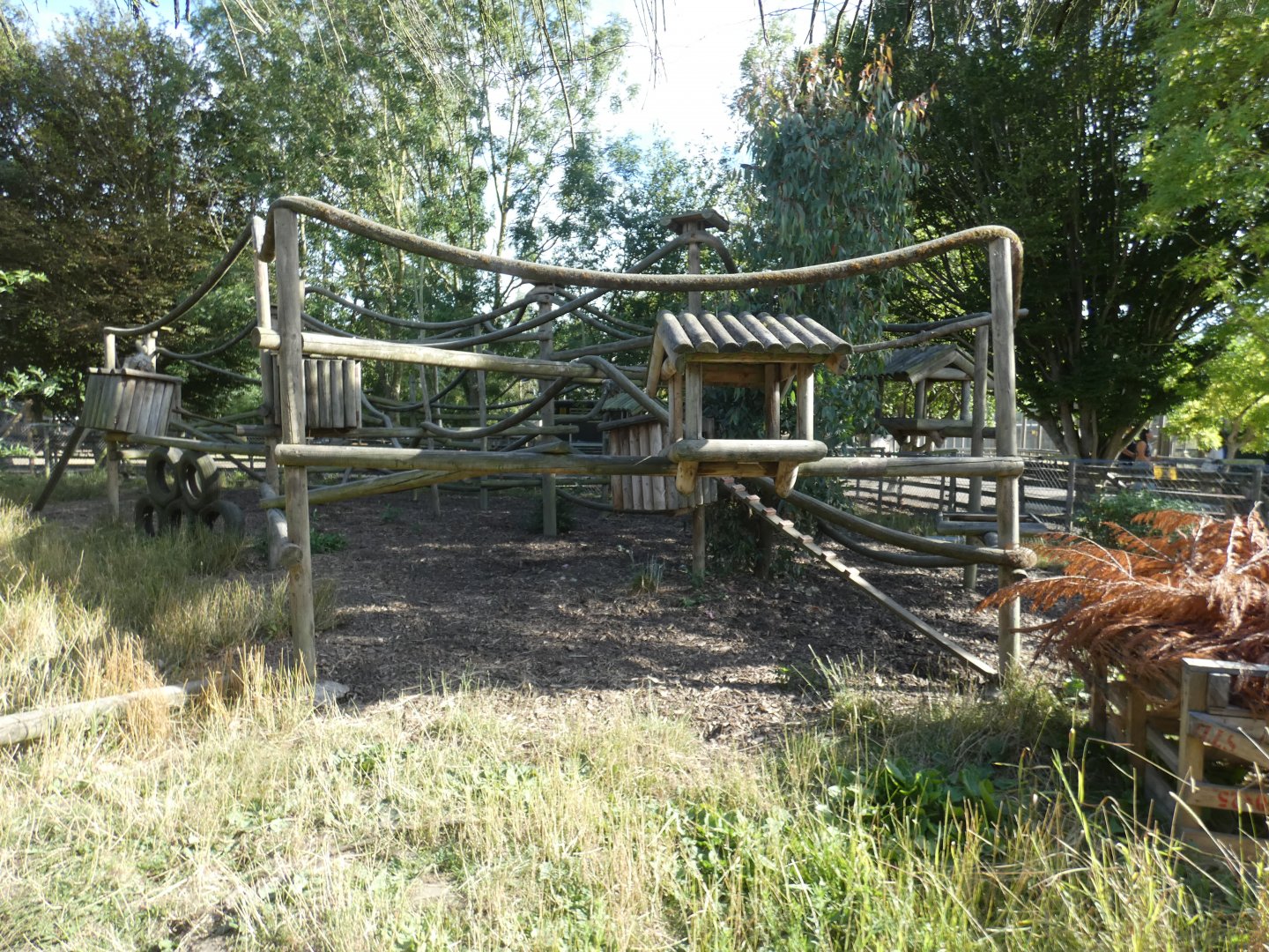 Ring-tailed Coati and Racoon enclosure