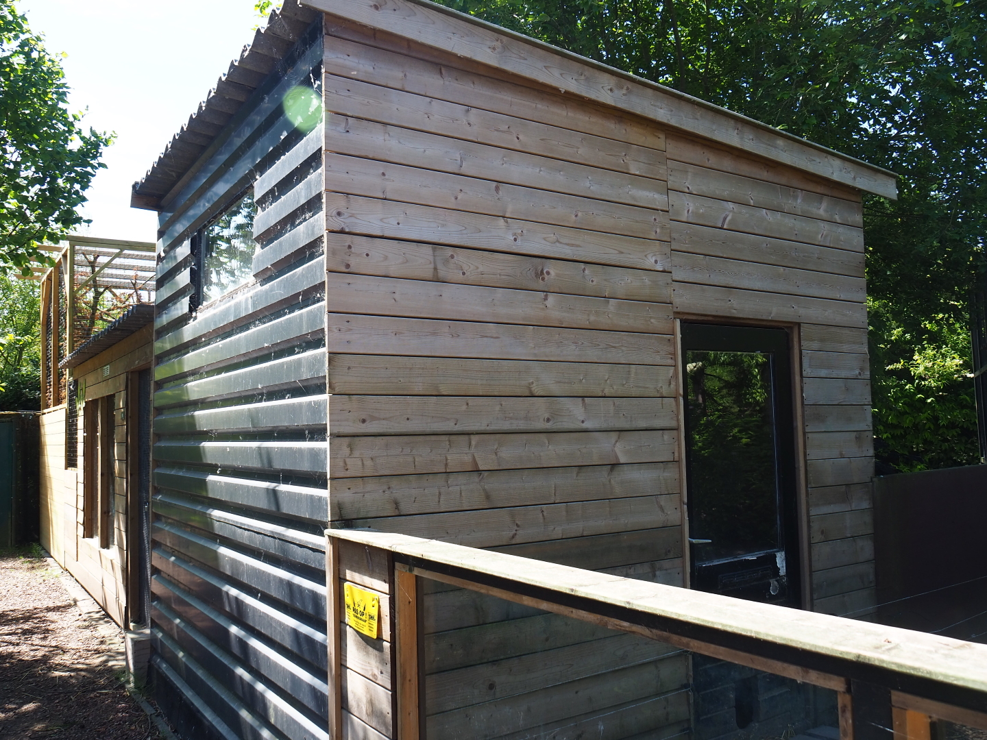 Ring-tailed coati barn, 2019-06-01
