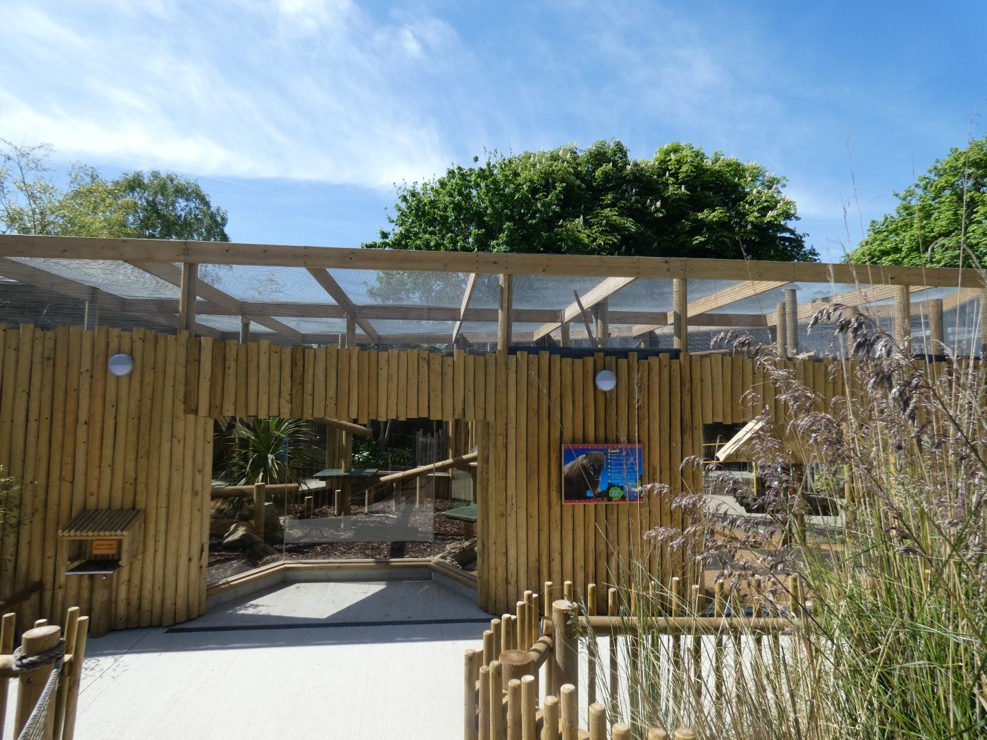 Ring-tailed coati enclosure (2)