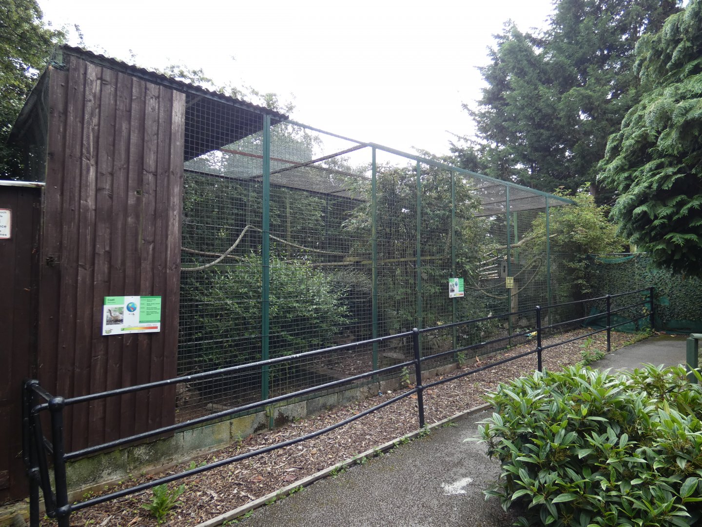 Ring-tailed coati enclosure (Greenacres Animal Park)