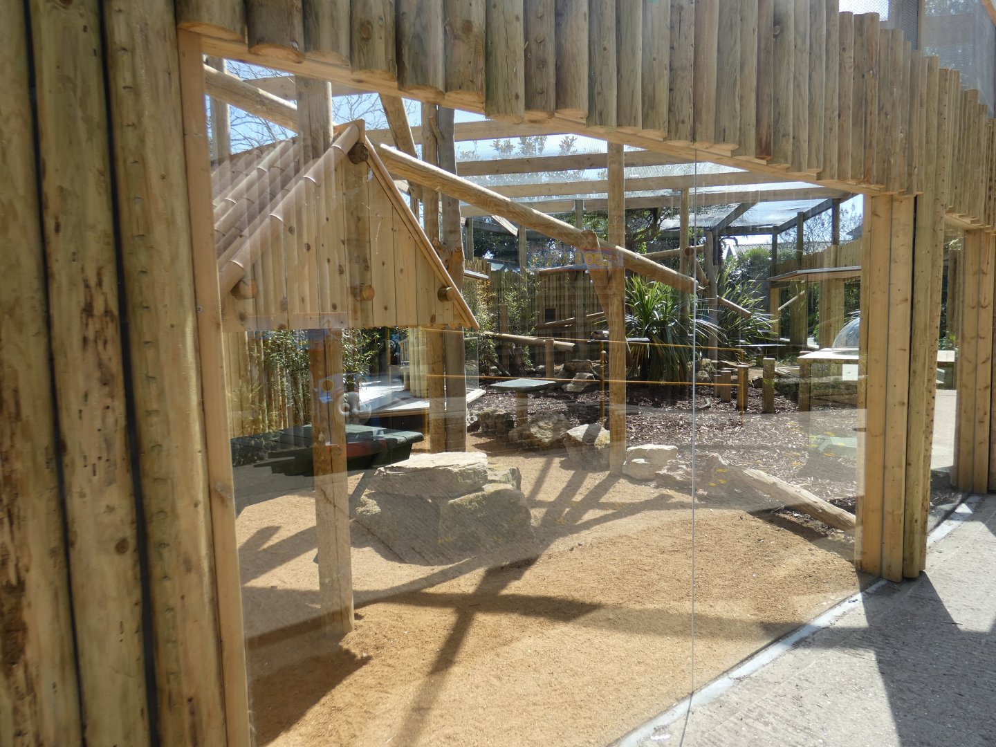 Ring-tailed coati enclosure