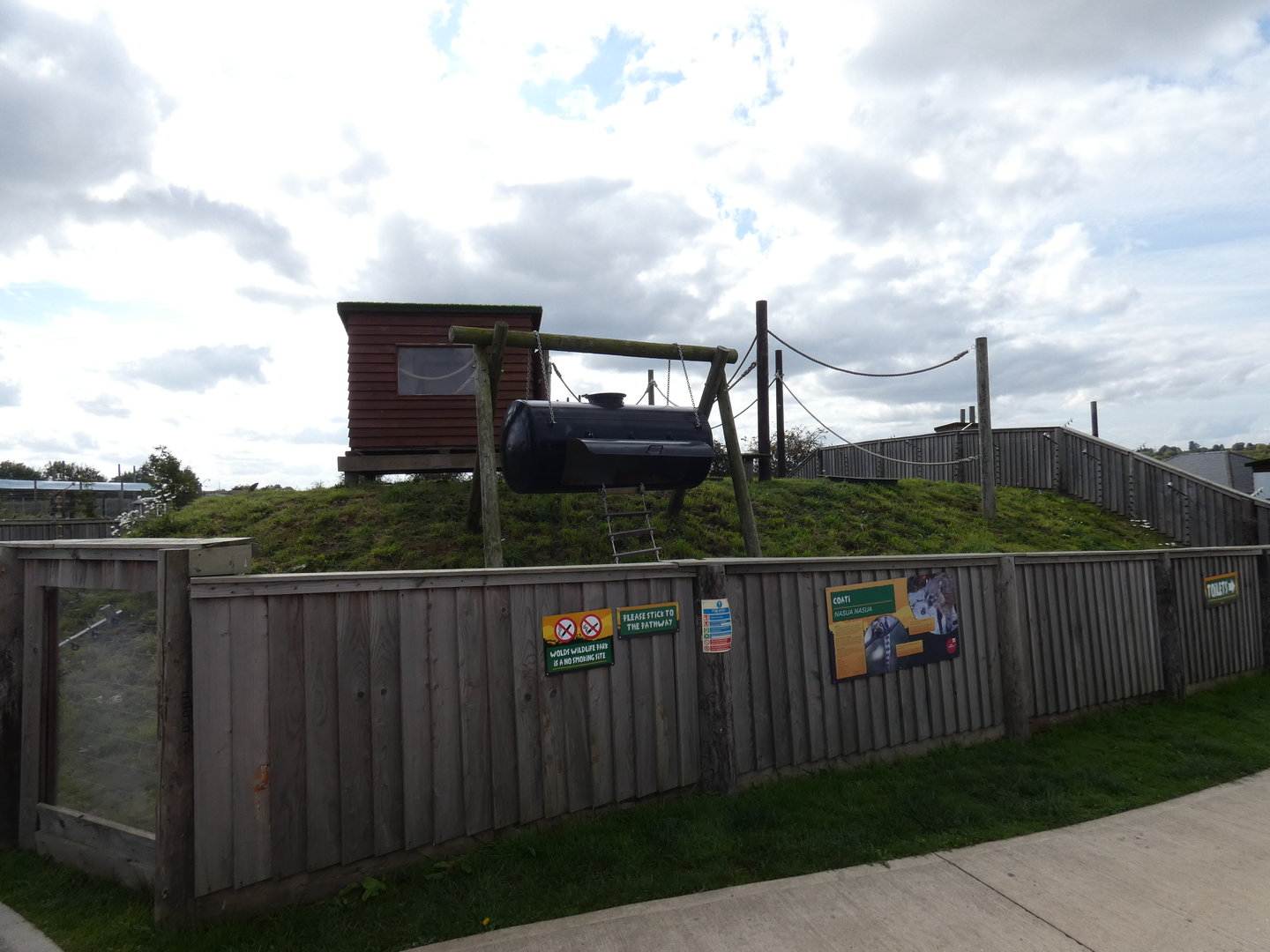 Ring-tailed coati enclosure