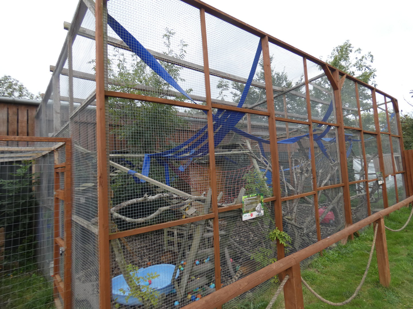 Ring-tailed coati enclosure