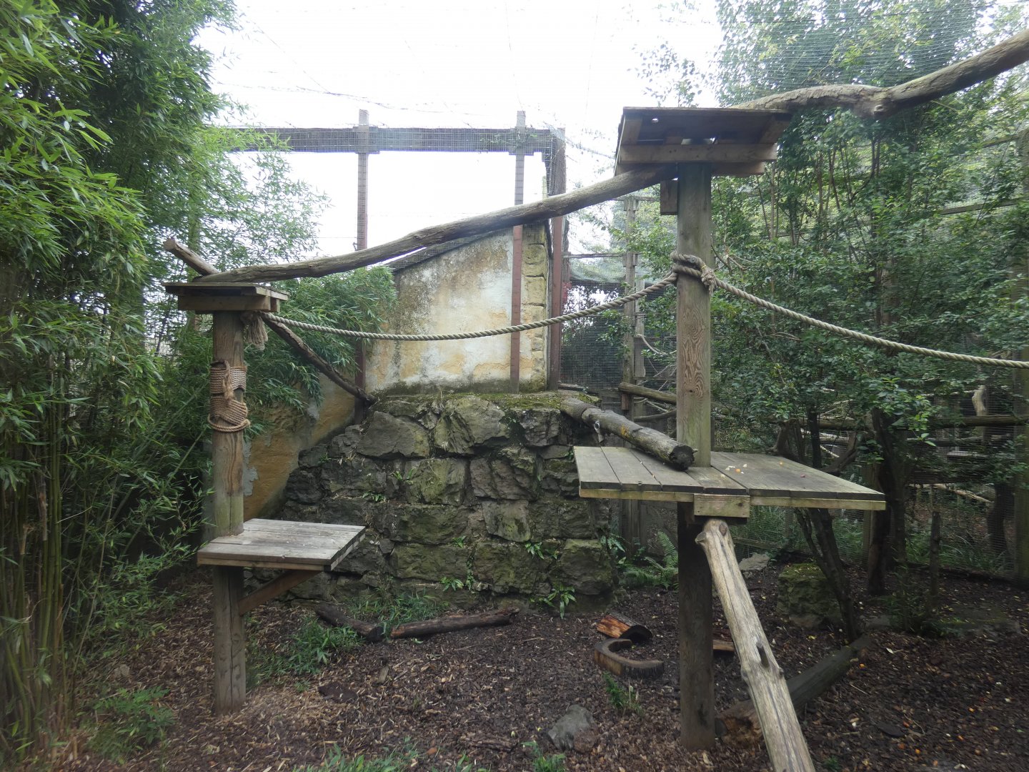 Ring-tailed coati enclosure