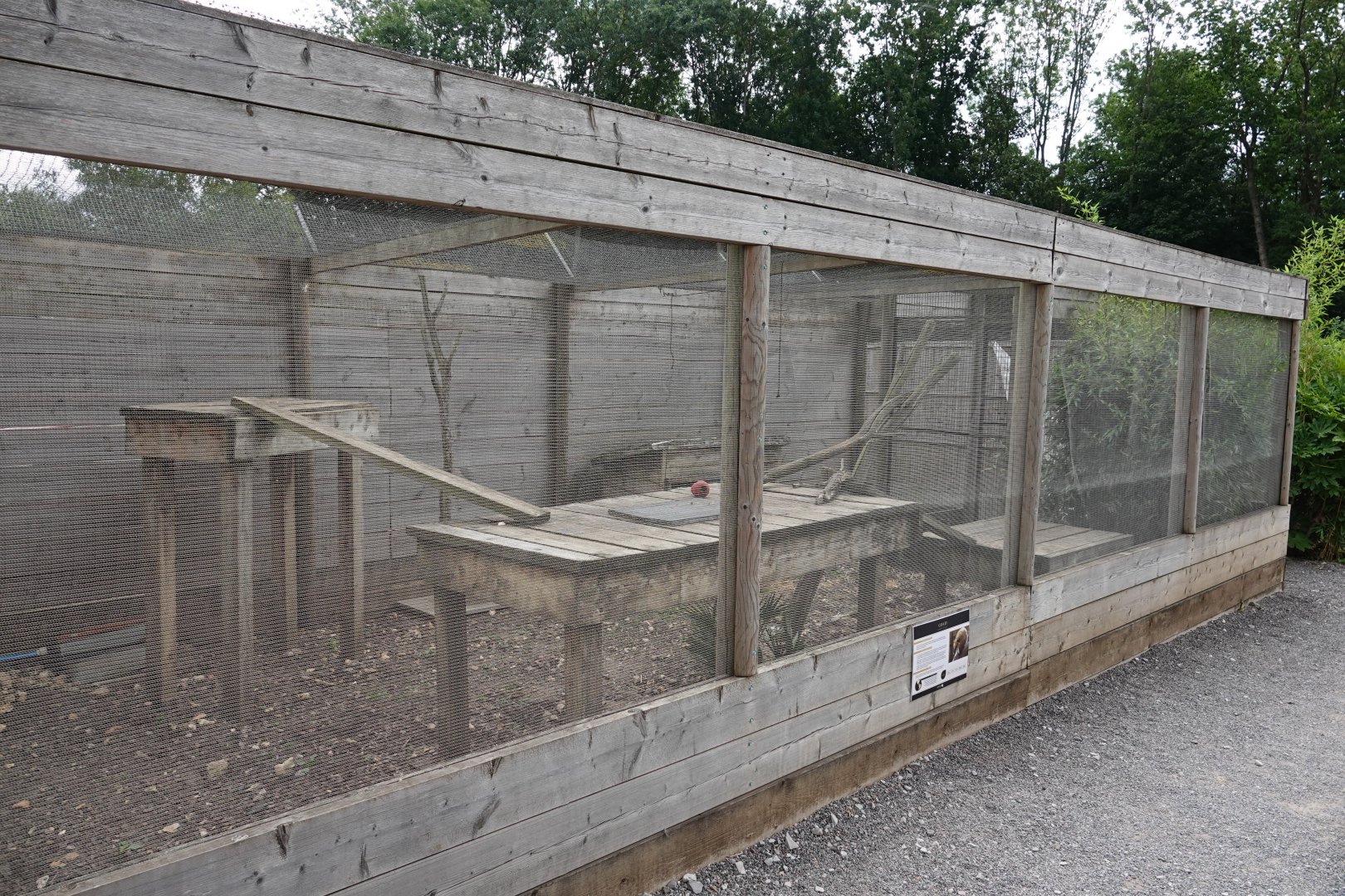 Ring-tailed coati enclosure