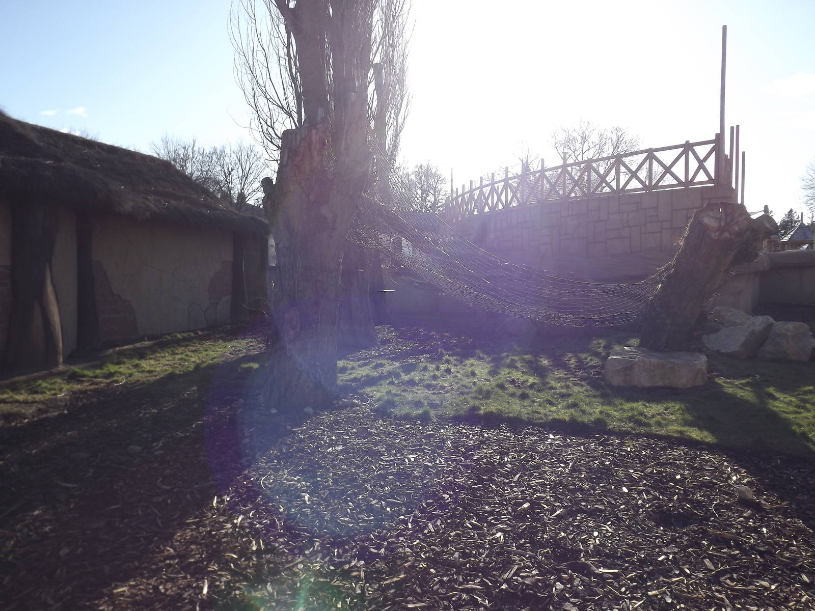 Ring Tailed Coati exhibit at Flamingoland 19/02/12
