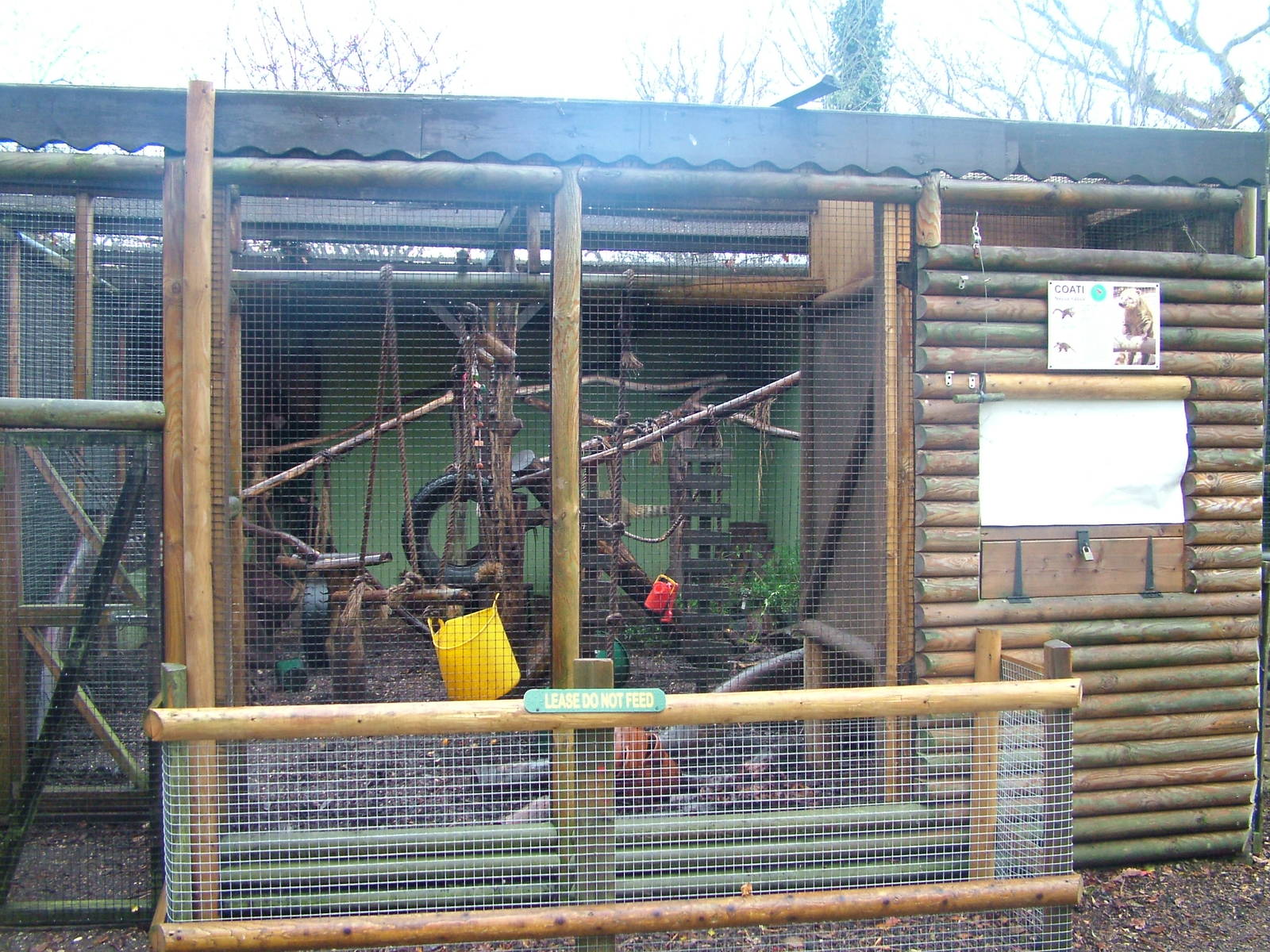 Ring-tailed Coati exhibit at Tropical Wings 29/11/09