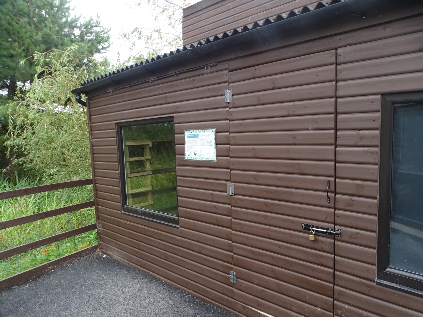 Ring-tailed Coati house, 3rd September 2024