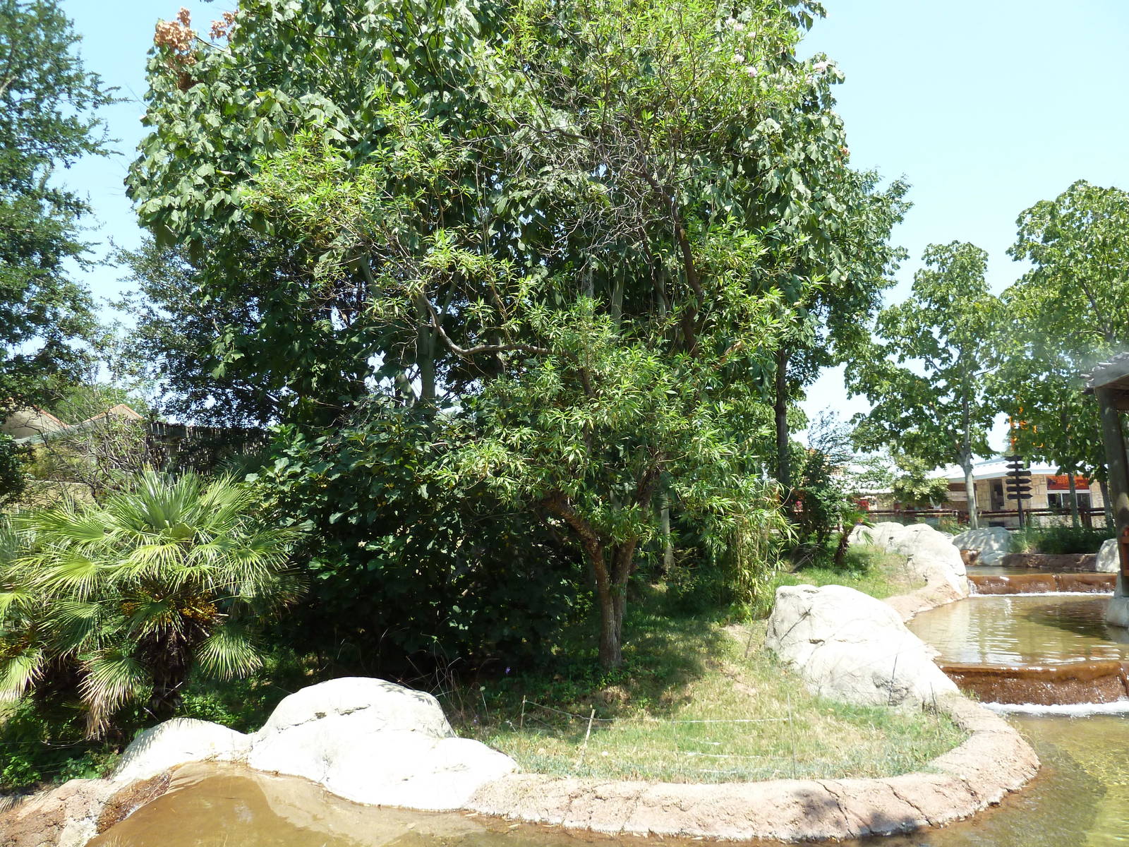 Ring-Tailed/Collared/Black+White Ruffed Lemur Exhibit