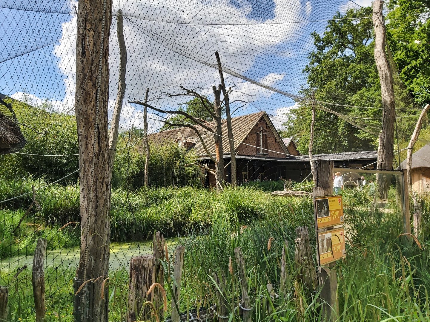 Ring-tailed lemur and black lemur enclosure