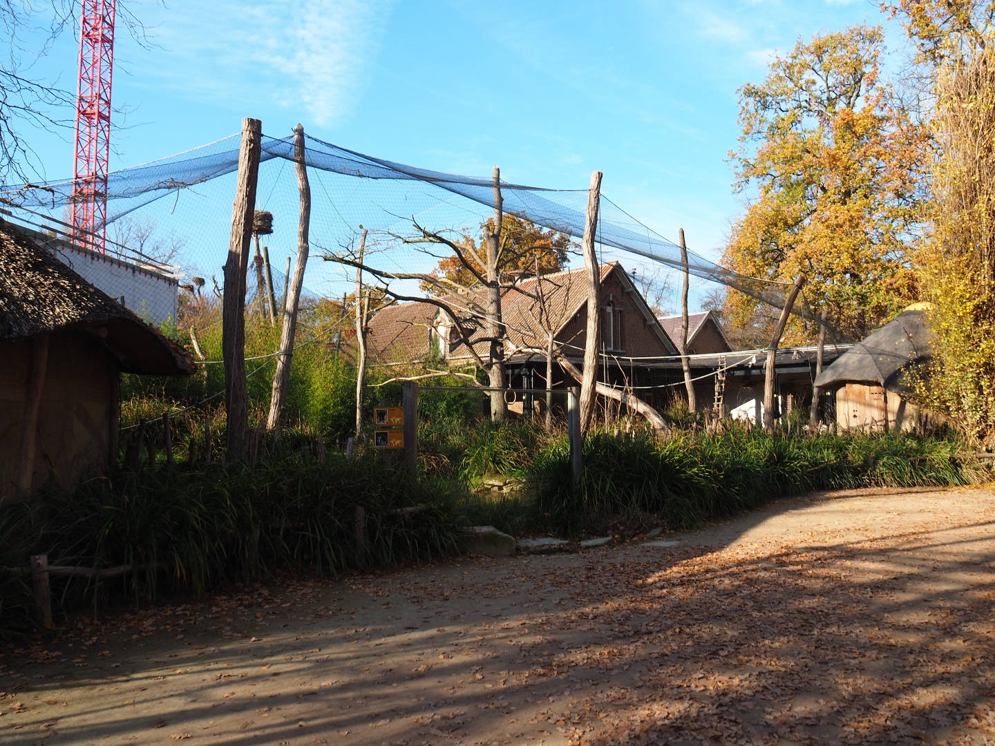Ring-tailed lemur and Black lemur exhibit (Nov 18th, 2018)