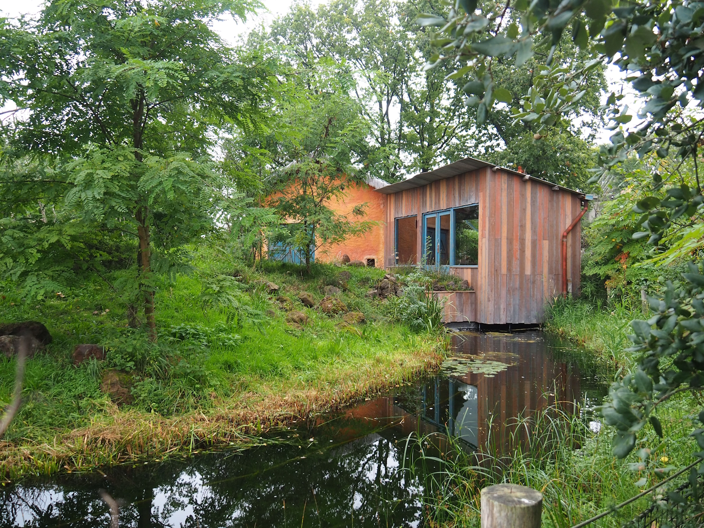 Ring-tailed lemur and Black lemur island, 2023-10-07