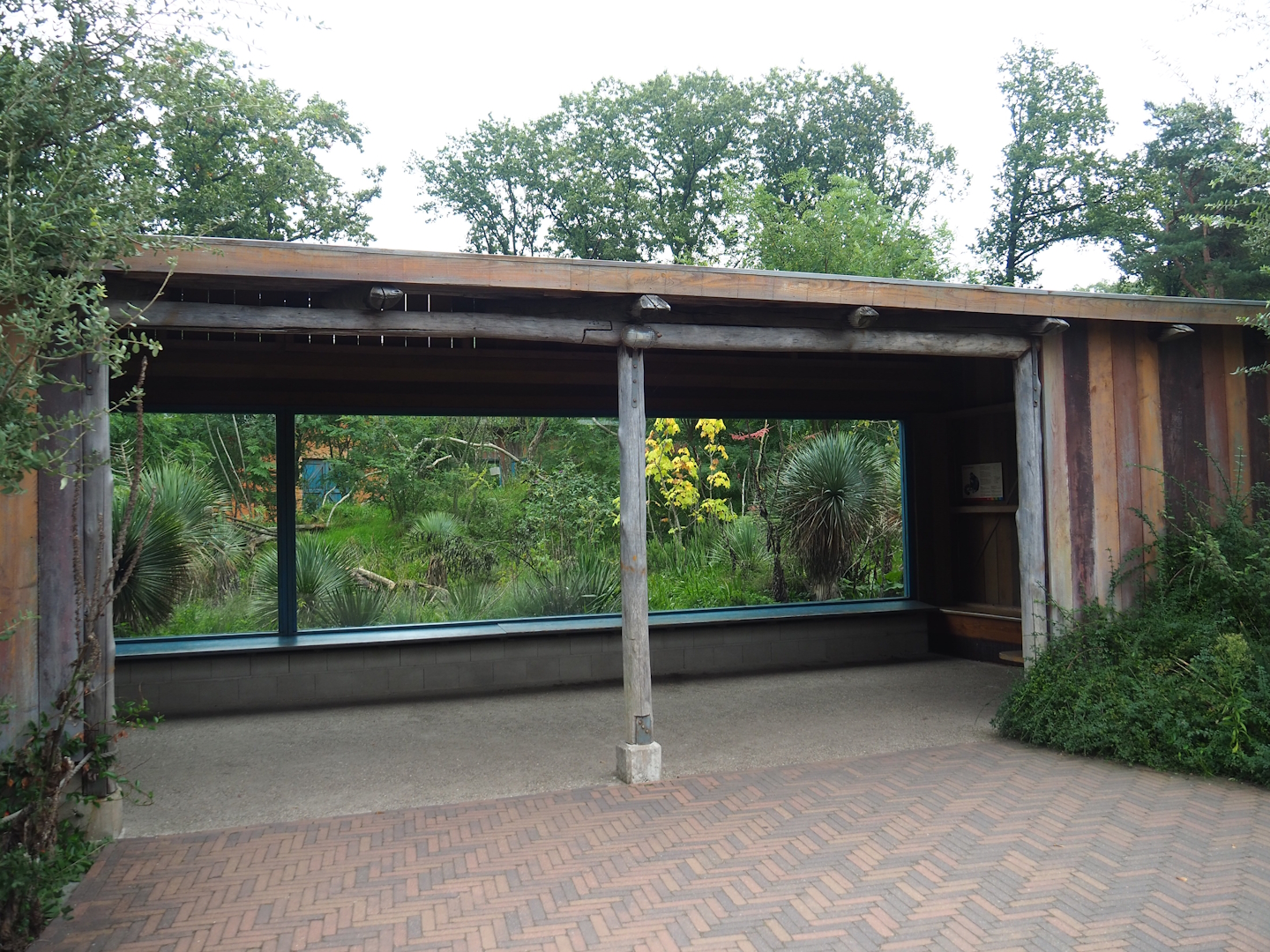 Ring-tailed lemur and Black lemur island viewing area, 2023-10-07