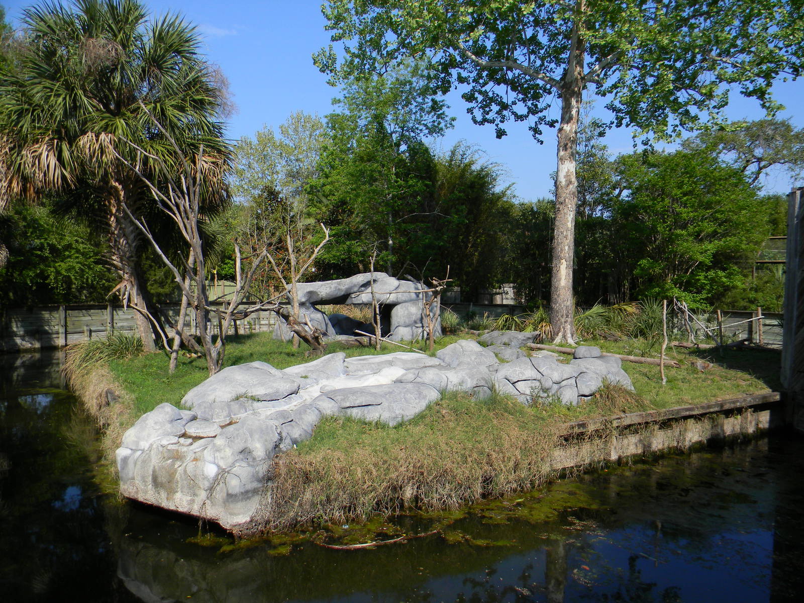 Ring-Tailed Lemur and Black & White Ruffed Lemur Exhibit