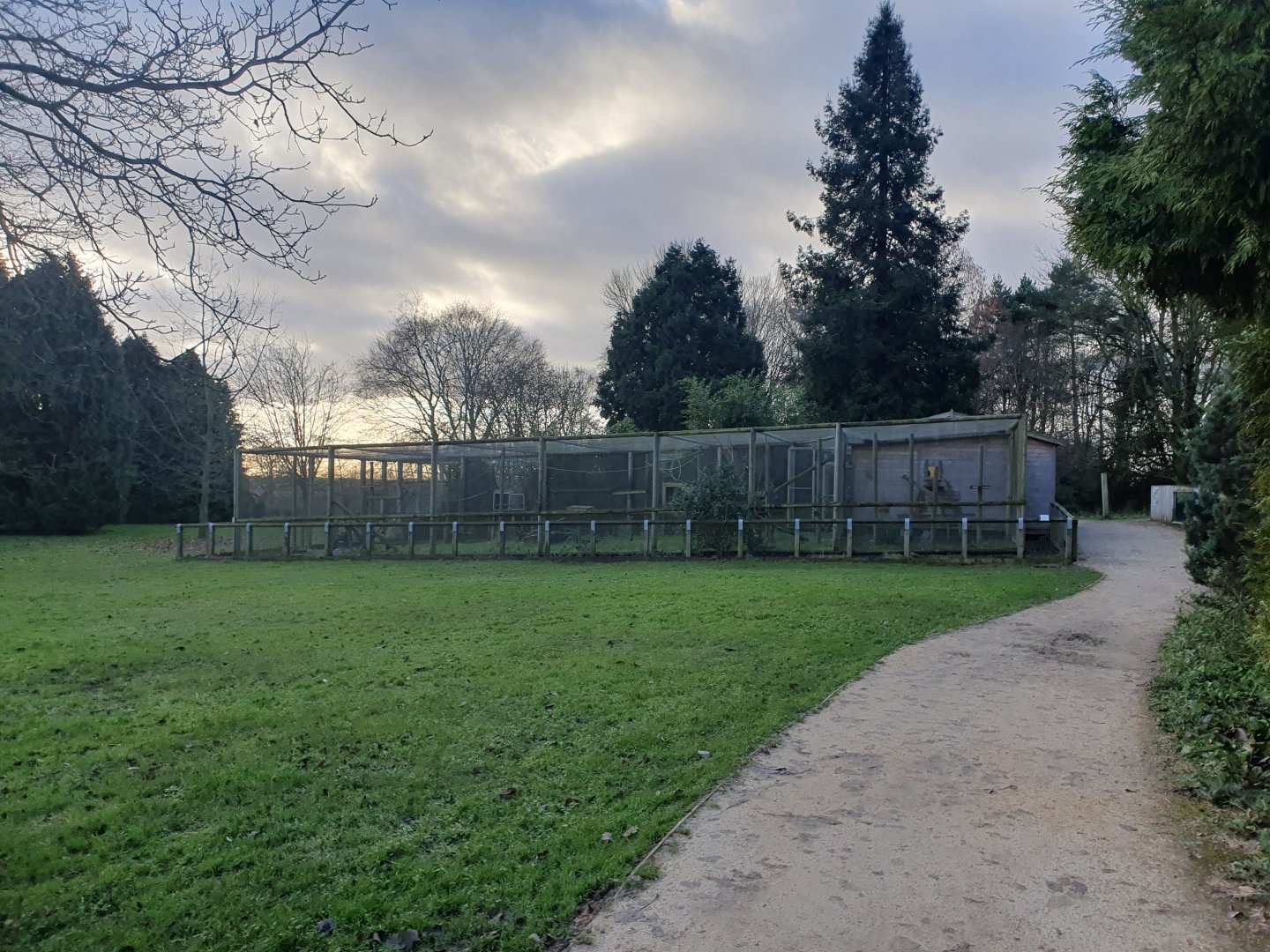 Ring tailed lemur and Helmeted Guineafowl enclosure 17/12/23