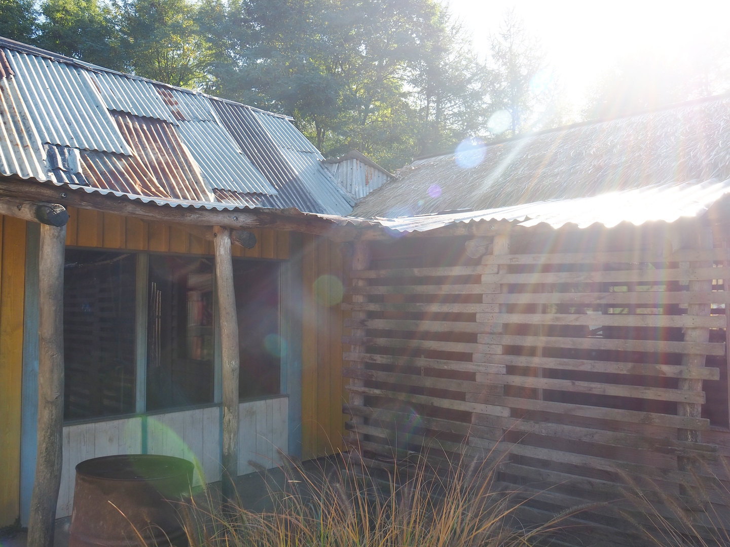 Ring-tailed lemur and Lac Alaotran bamboo lemur house, 2022-10-09