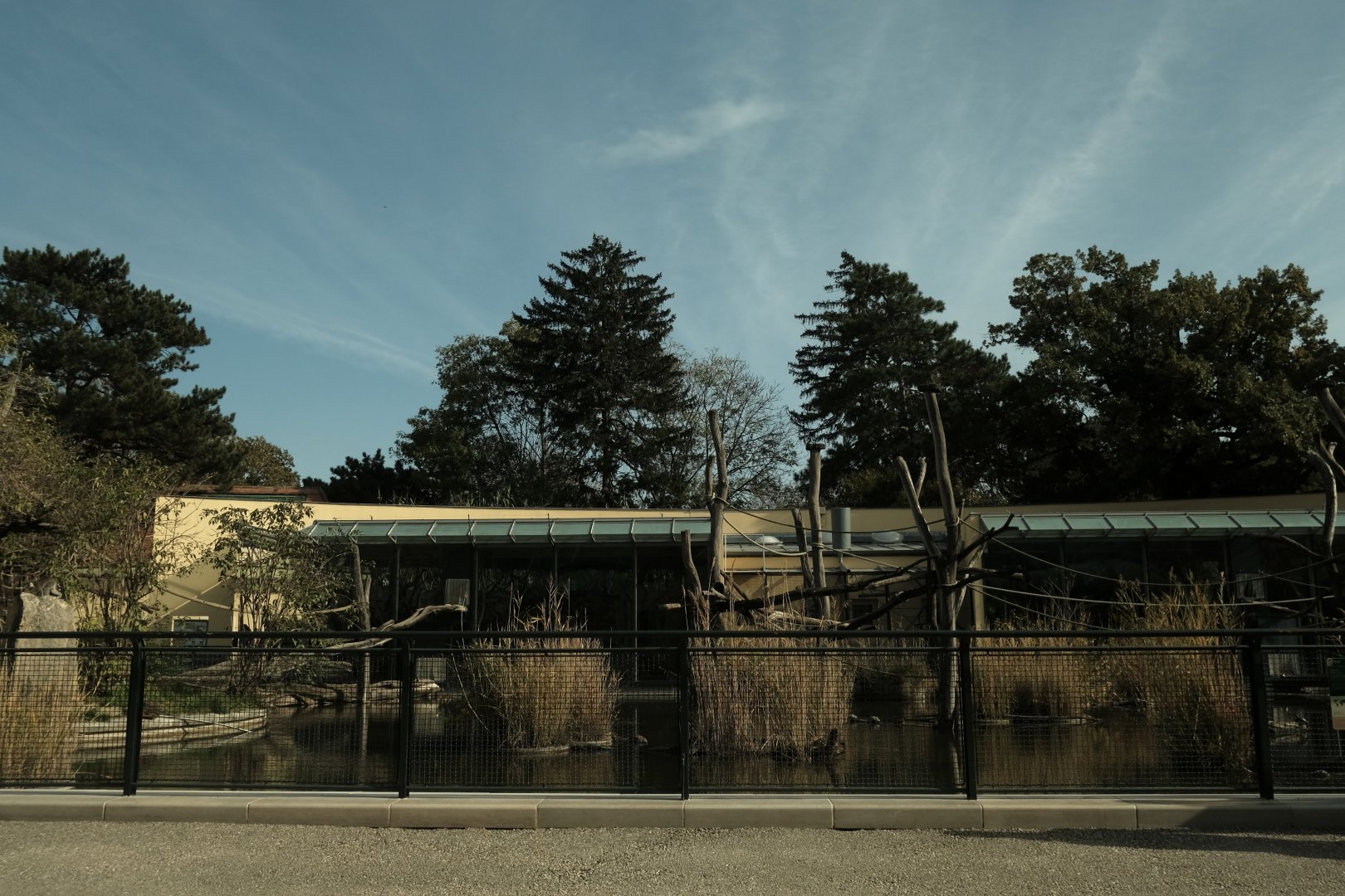 Ring-tailed Lemur and Lar Gibbon Enclosures