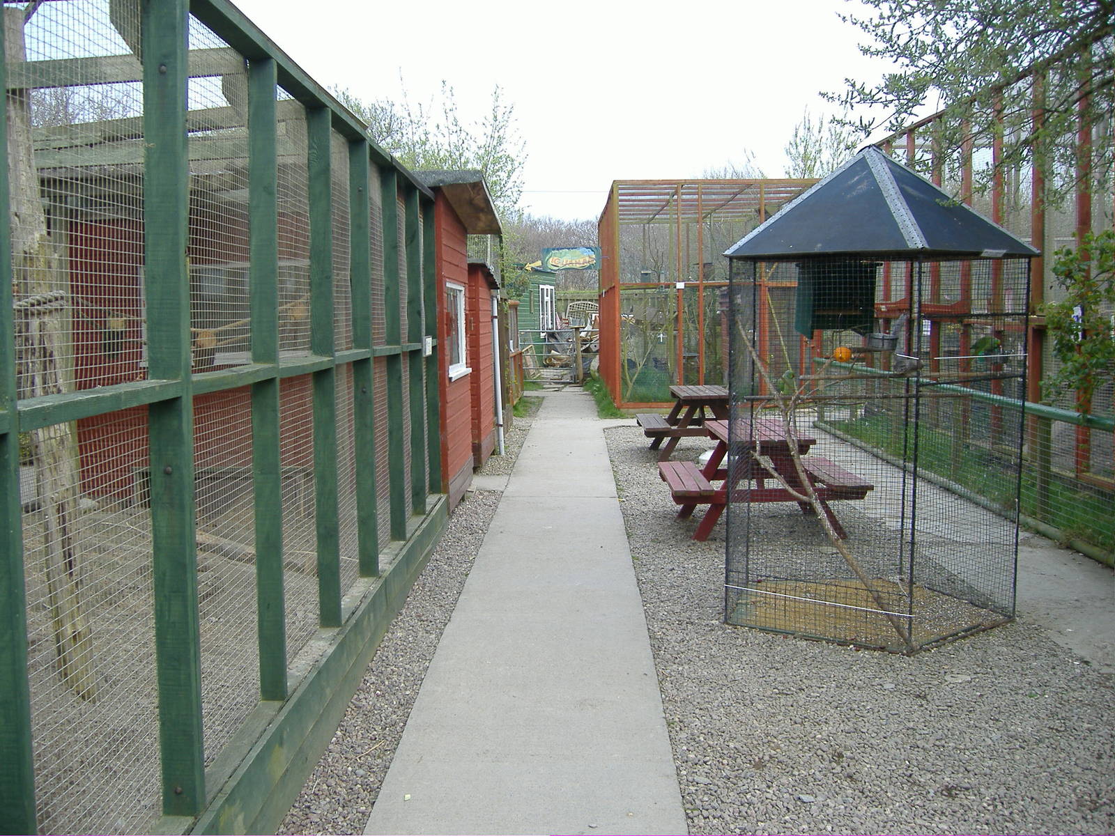 Ring tailed lemur and praire dogs Animalarium