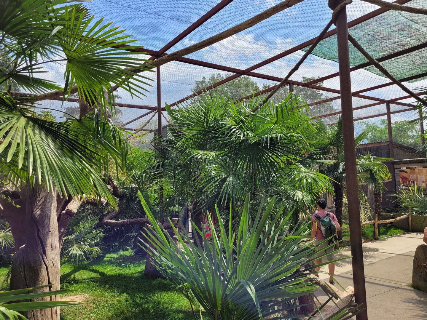 Ring-tailed lemur and Red-ruffed lemur exhibit -Parc Animalier des Pyrénées (2023)