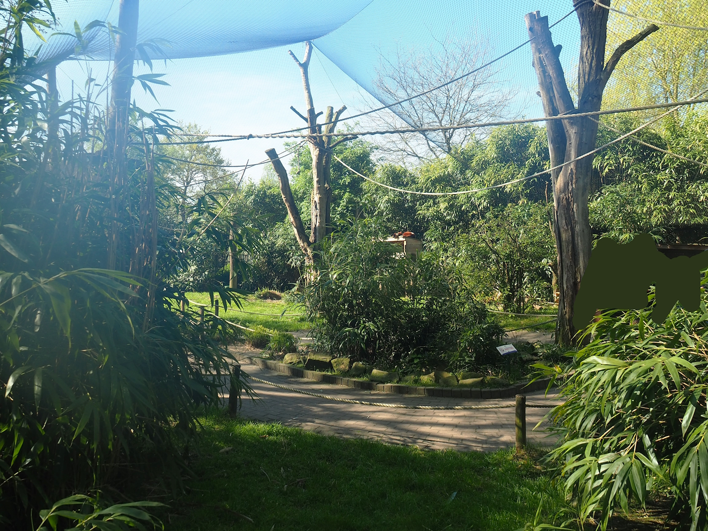 Ring-tailed lemur and Red ruffed lemur walkthrough exhibit, 2023-04-30