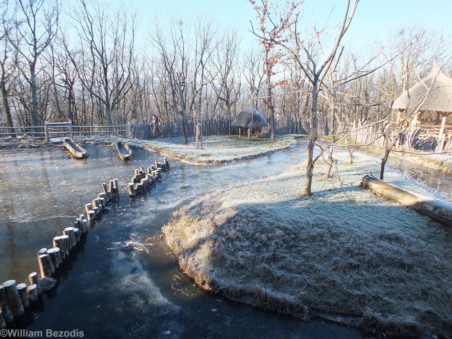 Ring-tailed Lemur and Waterbird Outdoor Enclosure