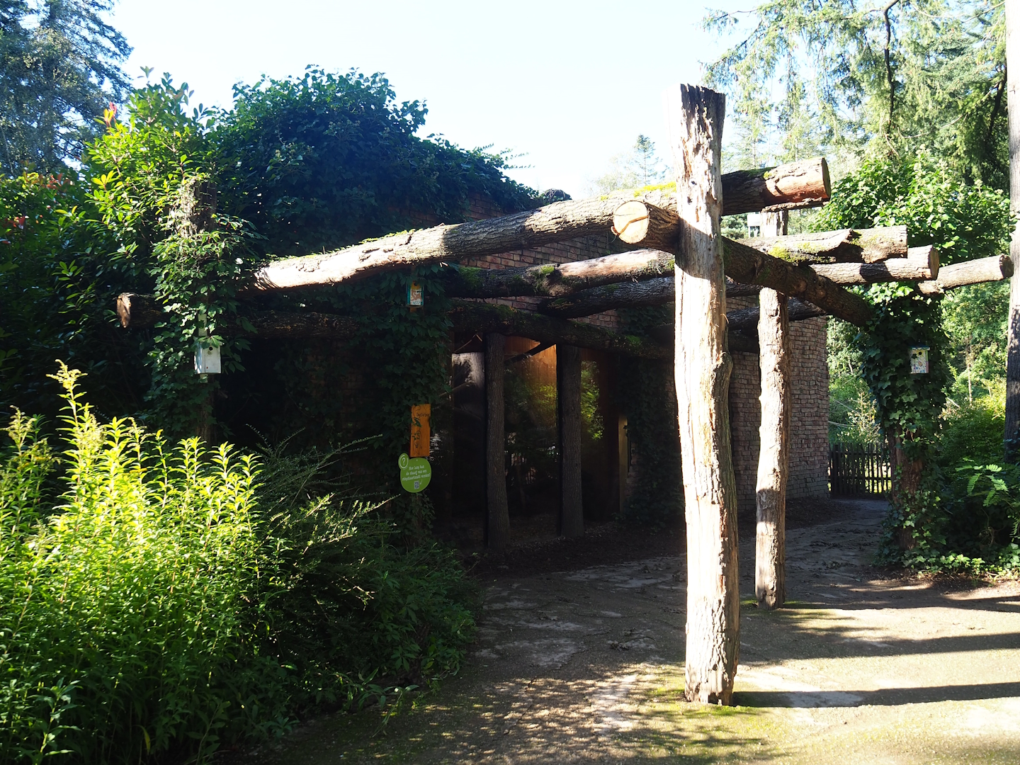 Ring-tailed lemur and Yellow-breasted capuchin house, 2023-09-24