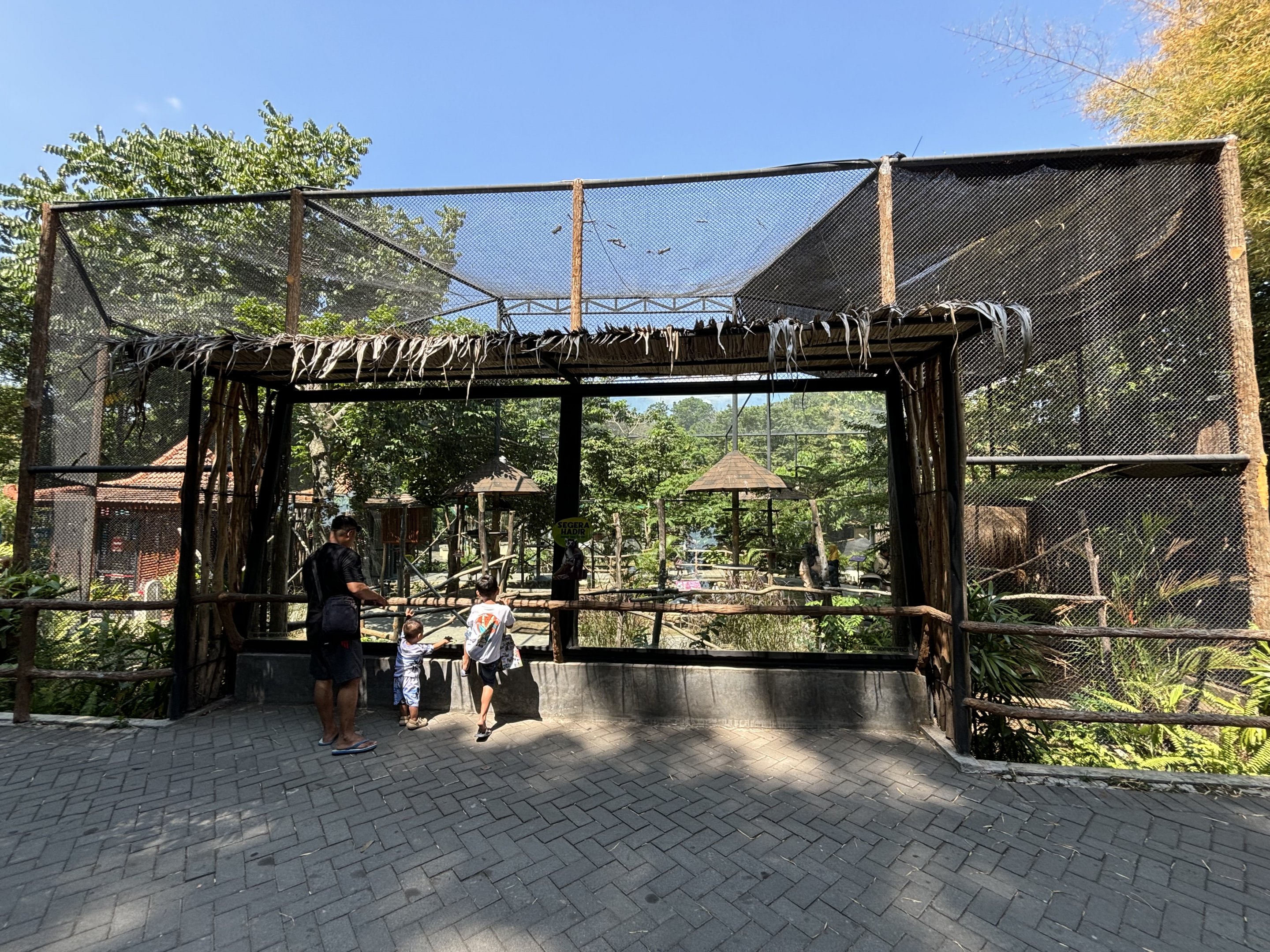 Ring-tailed Lemur/Binturong/Bird Walk-through Exhibit