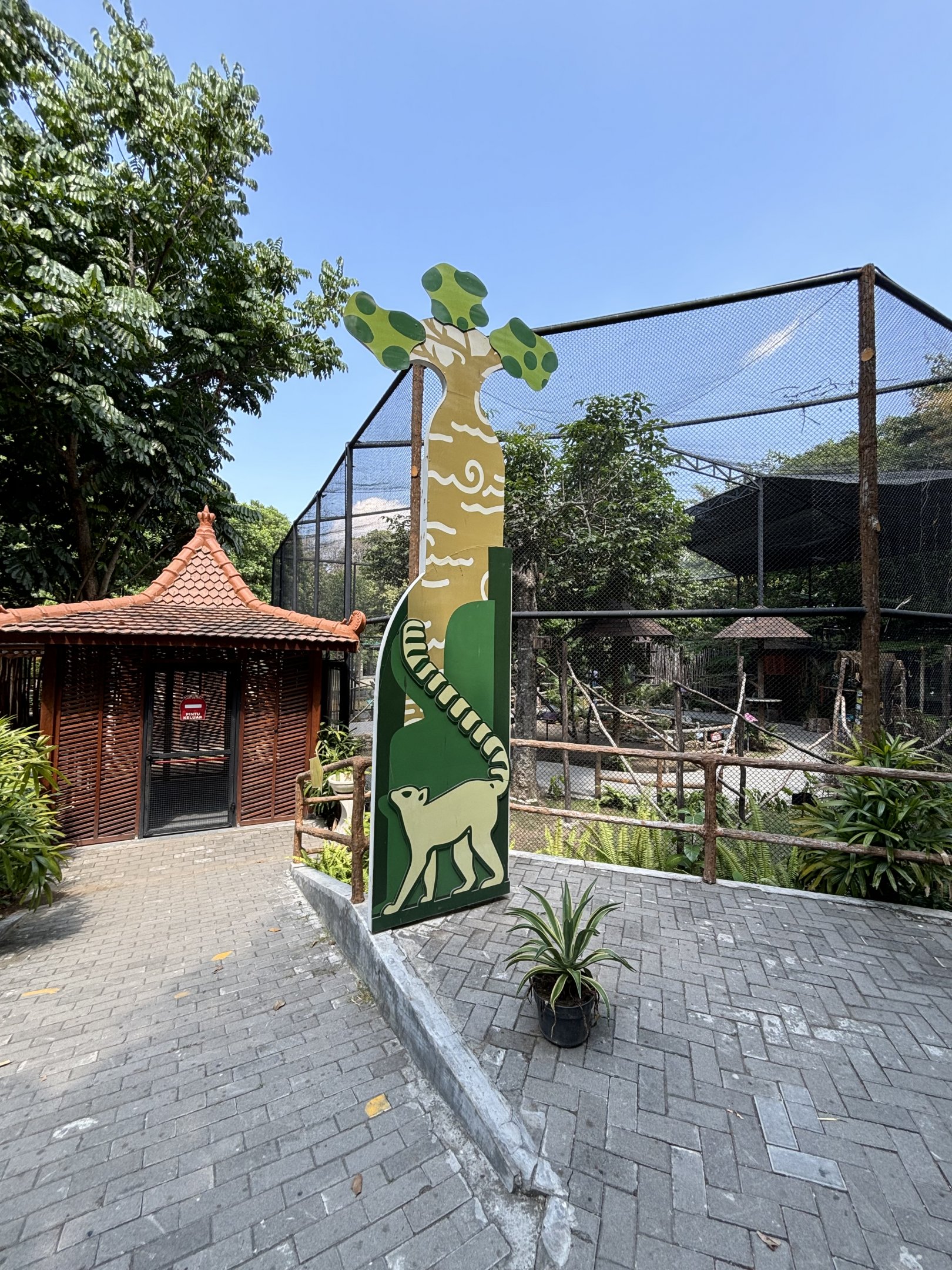 Ring-tailed Lemur/Binturong/Bird Walk-through Exhibit