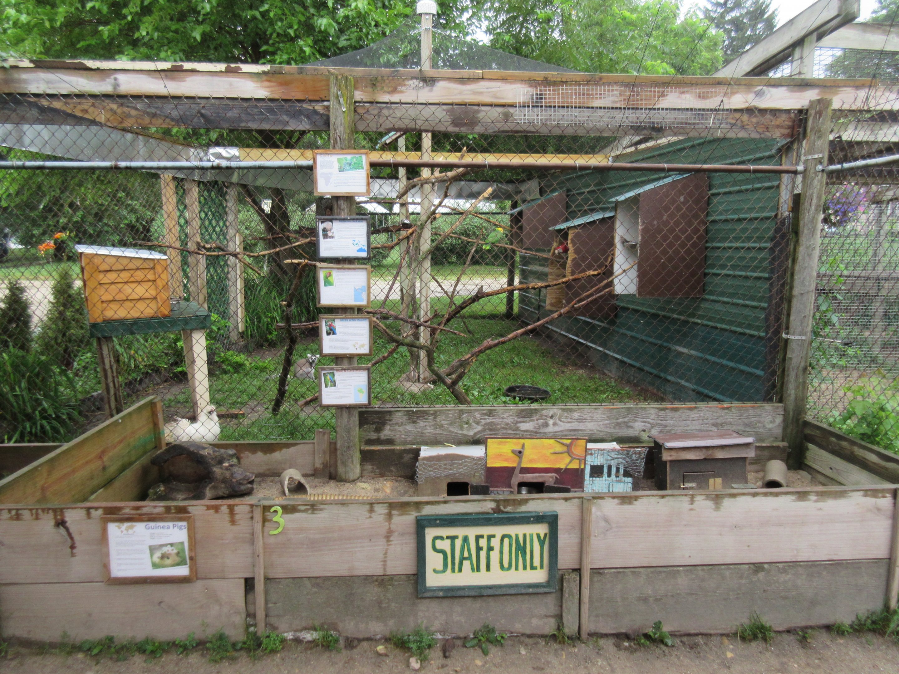 Ring-tailed Lemur + Bird Exhibit (4 species)