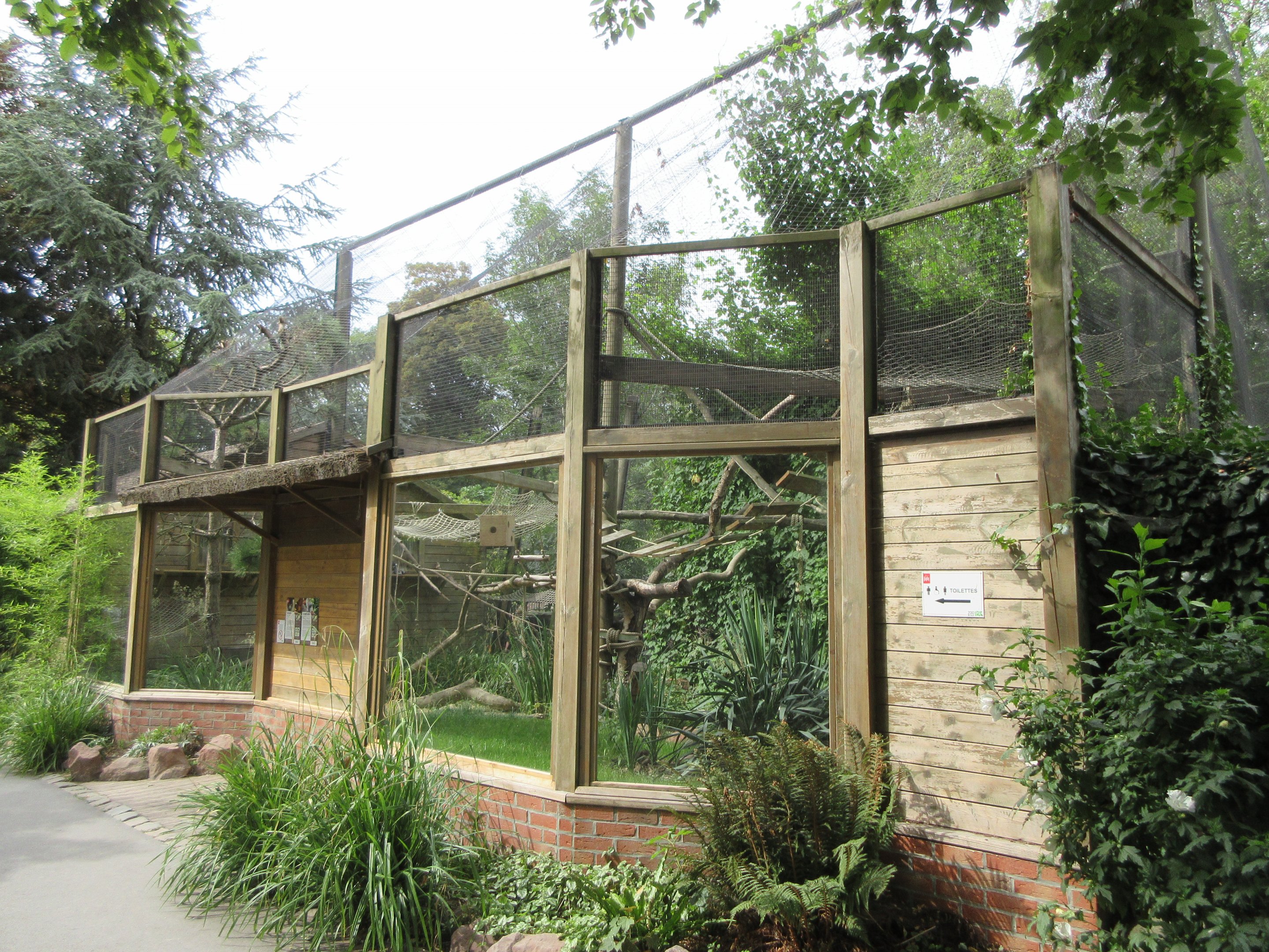 Ring-tailed Lemur/Black and White Ruffed Lemur Exhibit