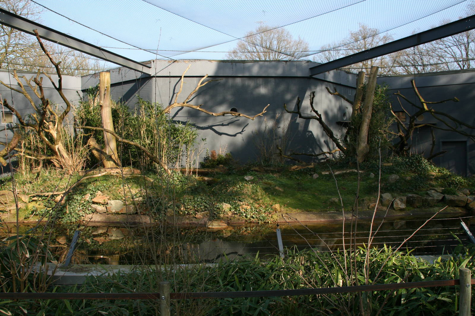 Ring-tailed lemur &  Black lemur outdoor exhibit