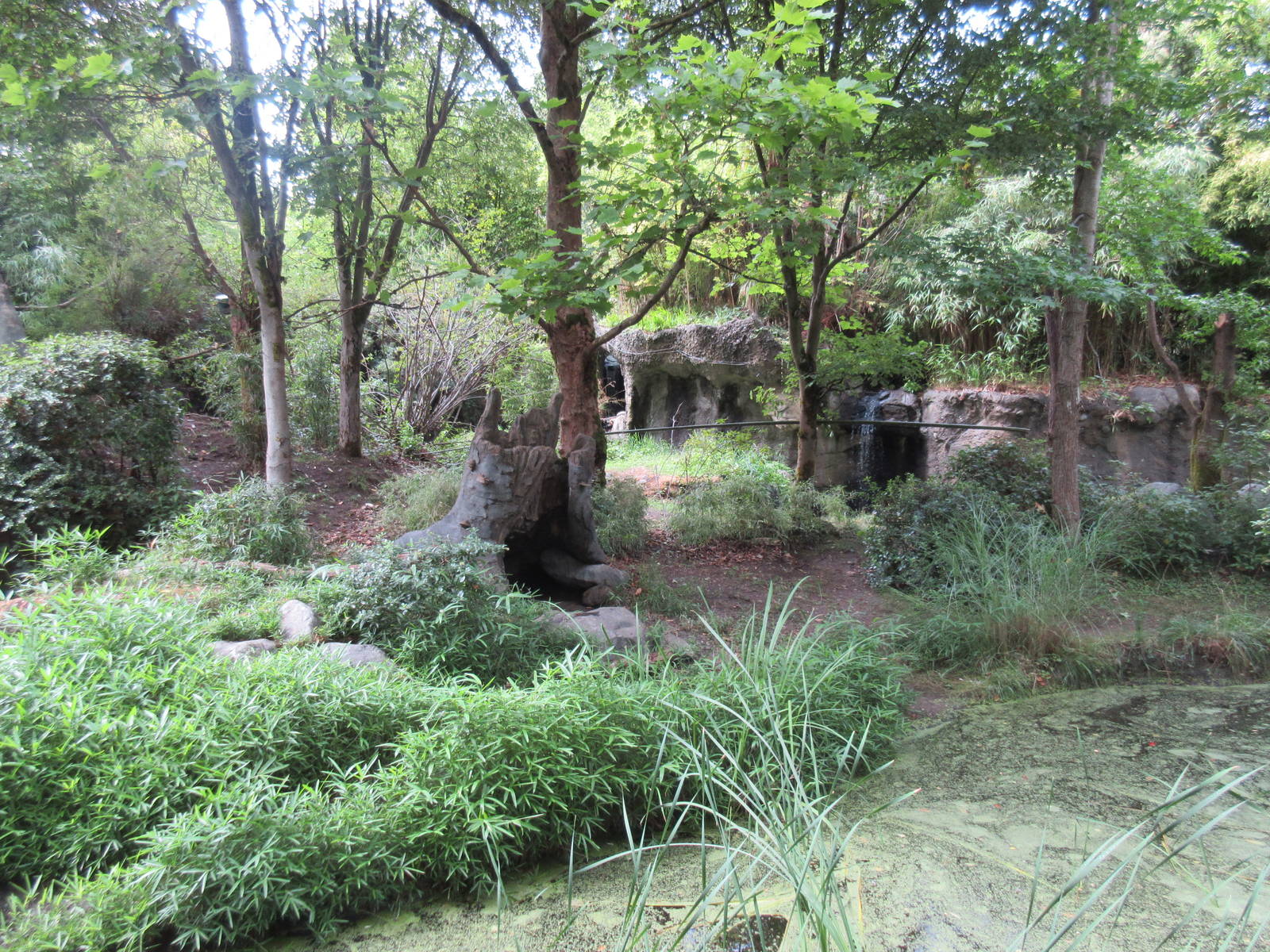 Ring-Tailed Lemur/Blue-Winged Goose Exhibit