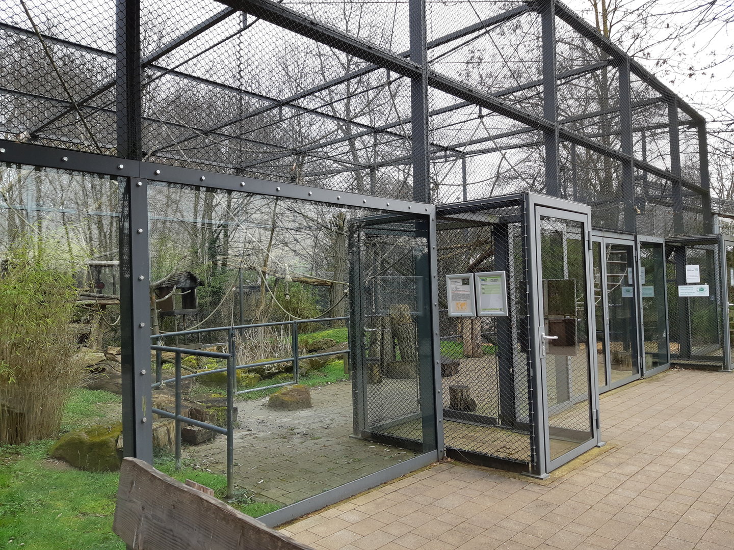 Ring-tailed lemur & Bolivian squirrel monkey walkthrough exhibit - Zoo Saarbrücken